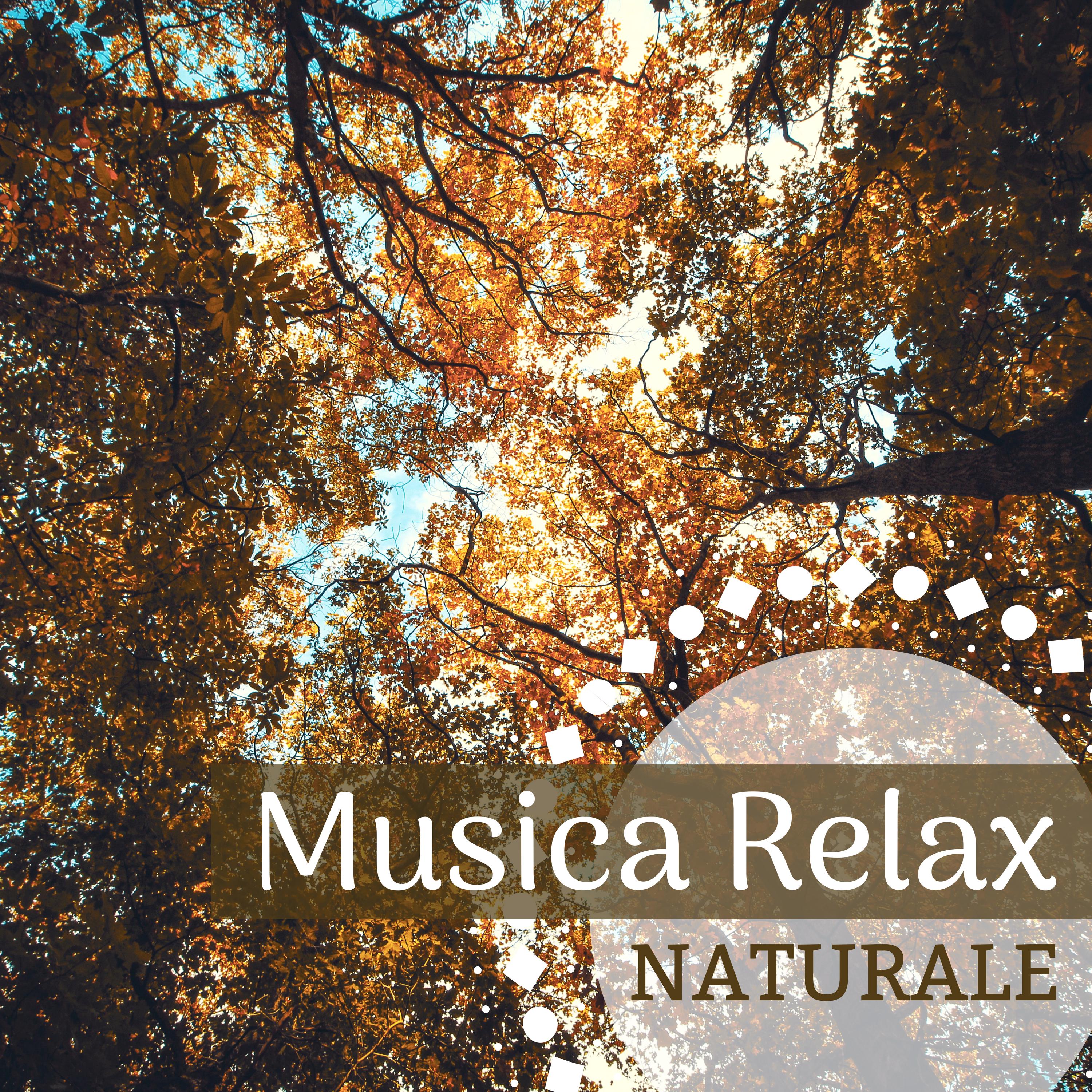 Musica Relax Naturale - Suoni della Natura Rilassanti, Bosco, Acqua e Canto di Uccelli