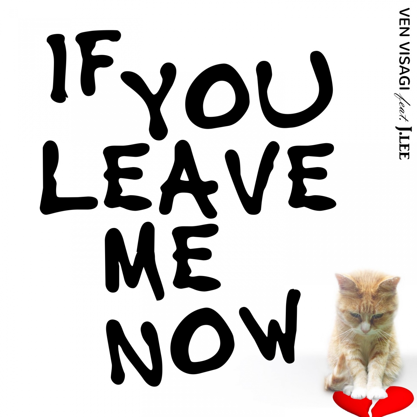 If you leave me now (Tropical House Mix)