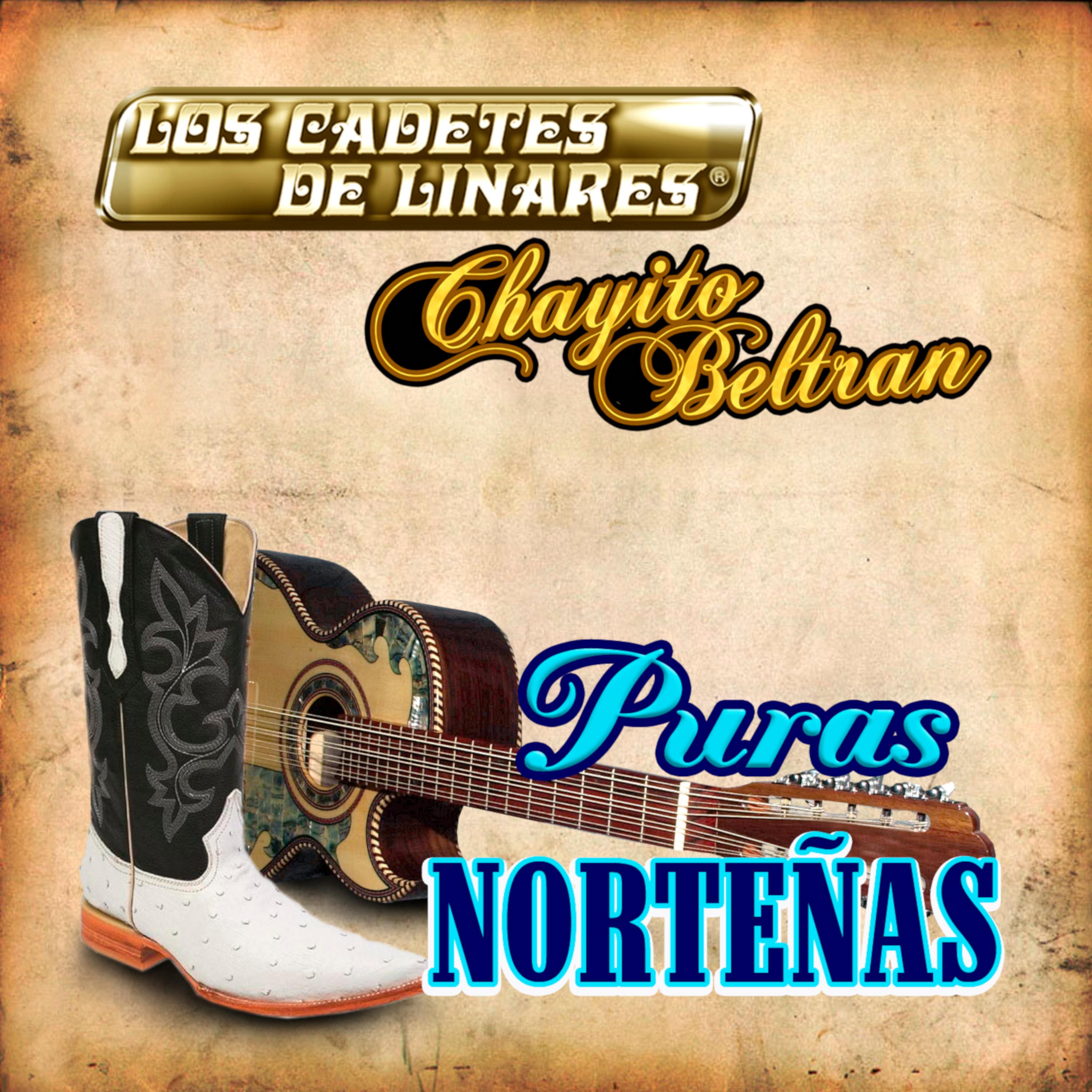 Puras Norteñas