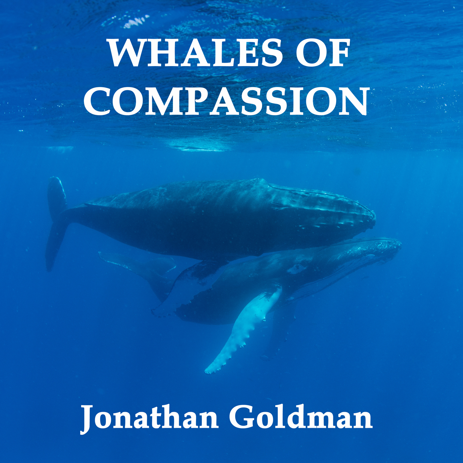 Whales of Compassion