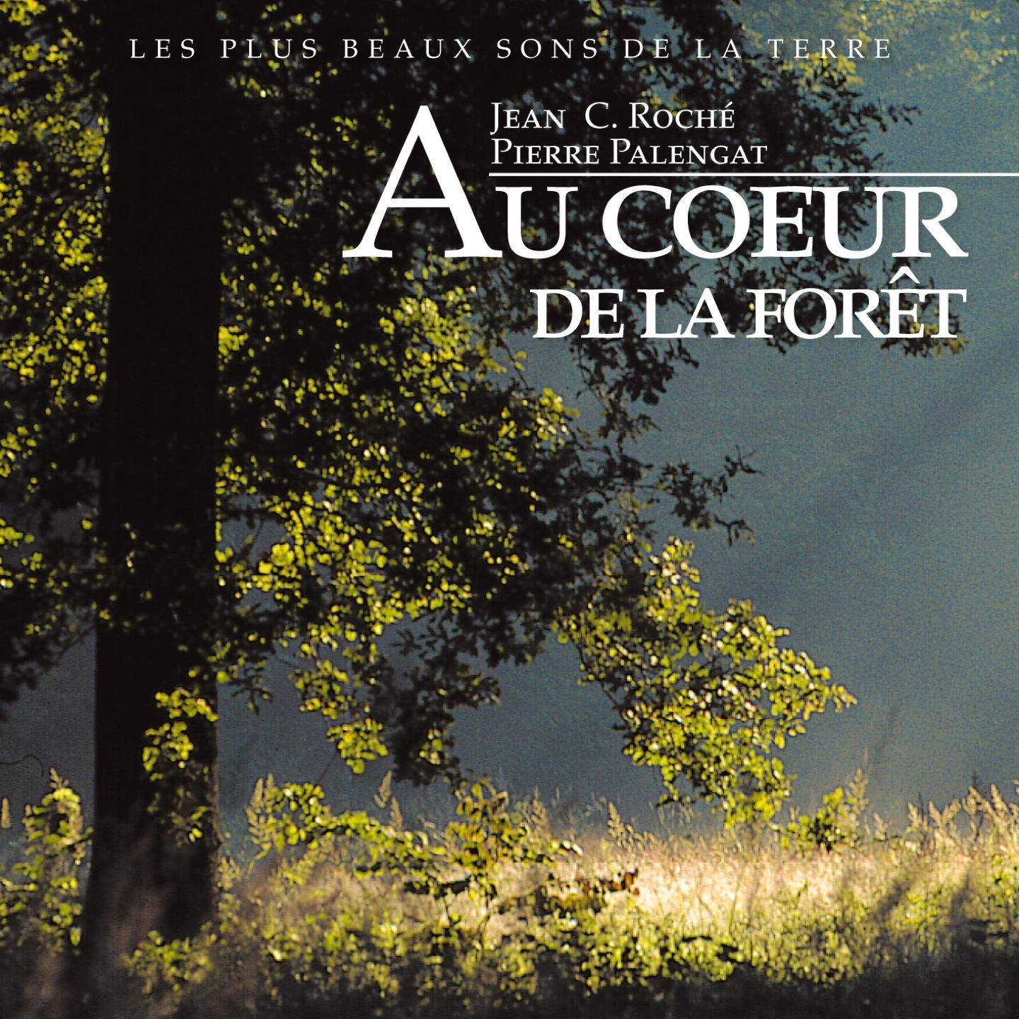 Au cœur de la forêt (Les plus beaux sons de la Terre)