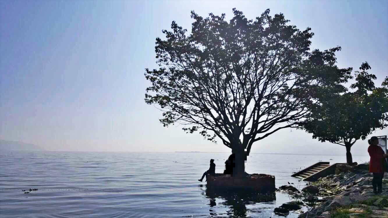 那年夏天我们一起吃过的冰淇淋