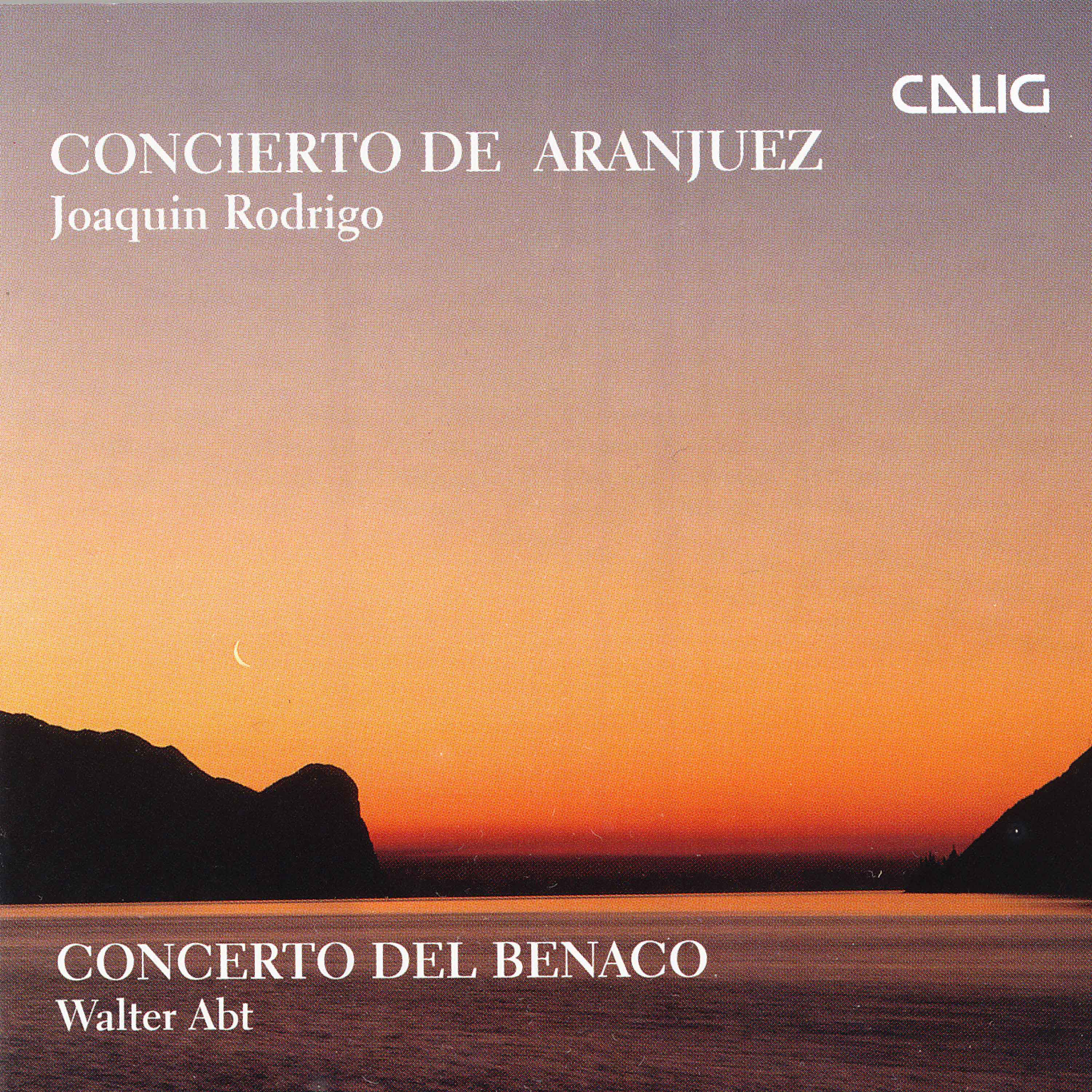 Concerto del Benaco (Arr. G. Grisi for Orchestra): I. Groovy Mountains on the Sky. Presto