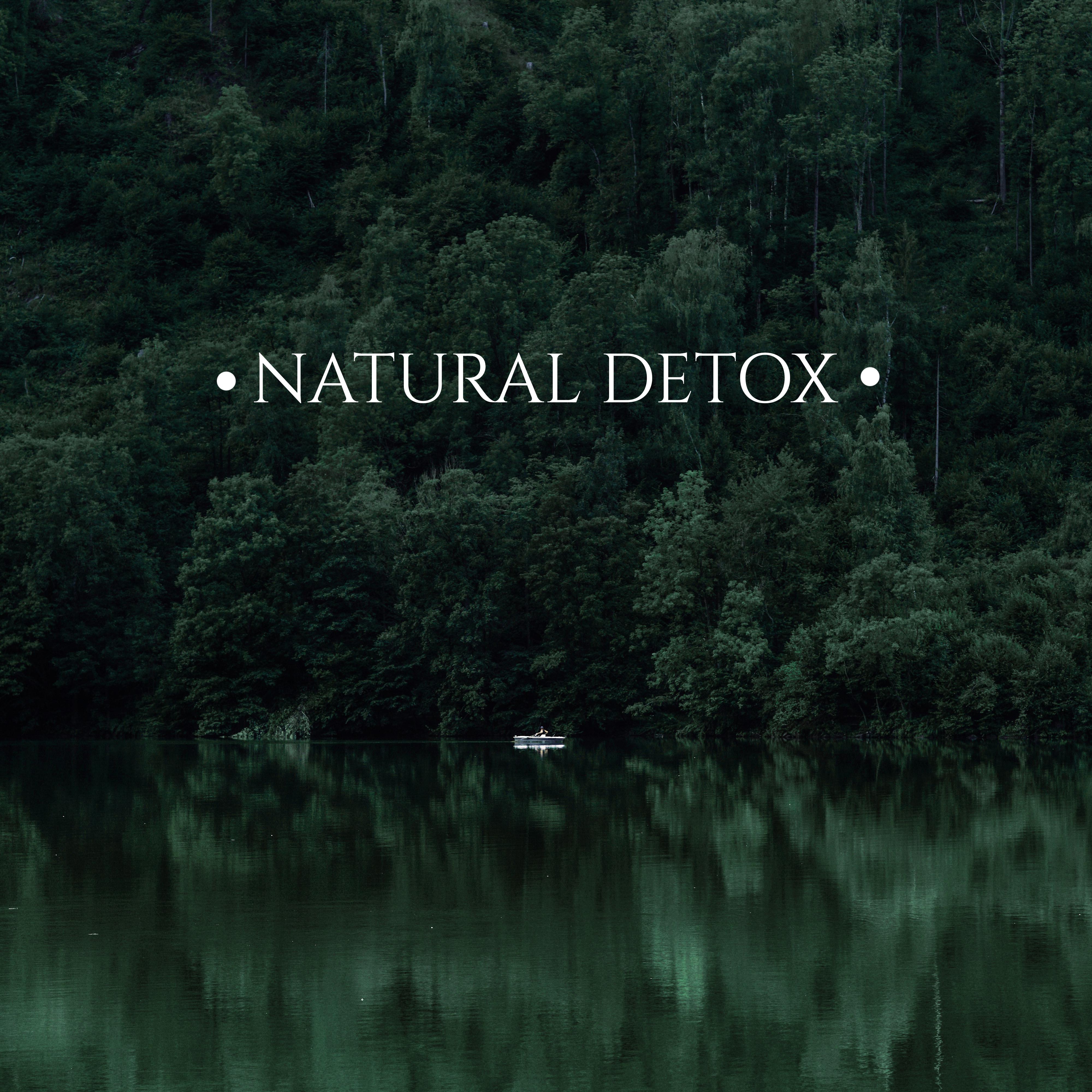 Natural Detox: Escape from the Hustle and Bustle – Quiet Thoughts and Emotions