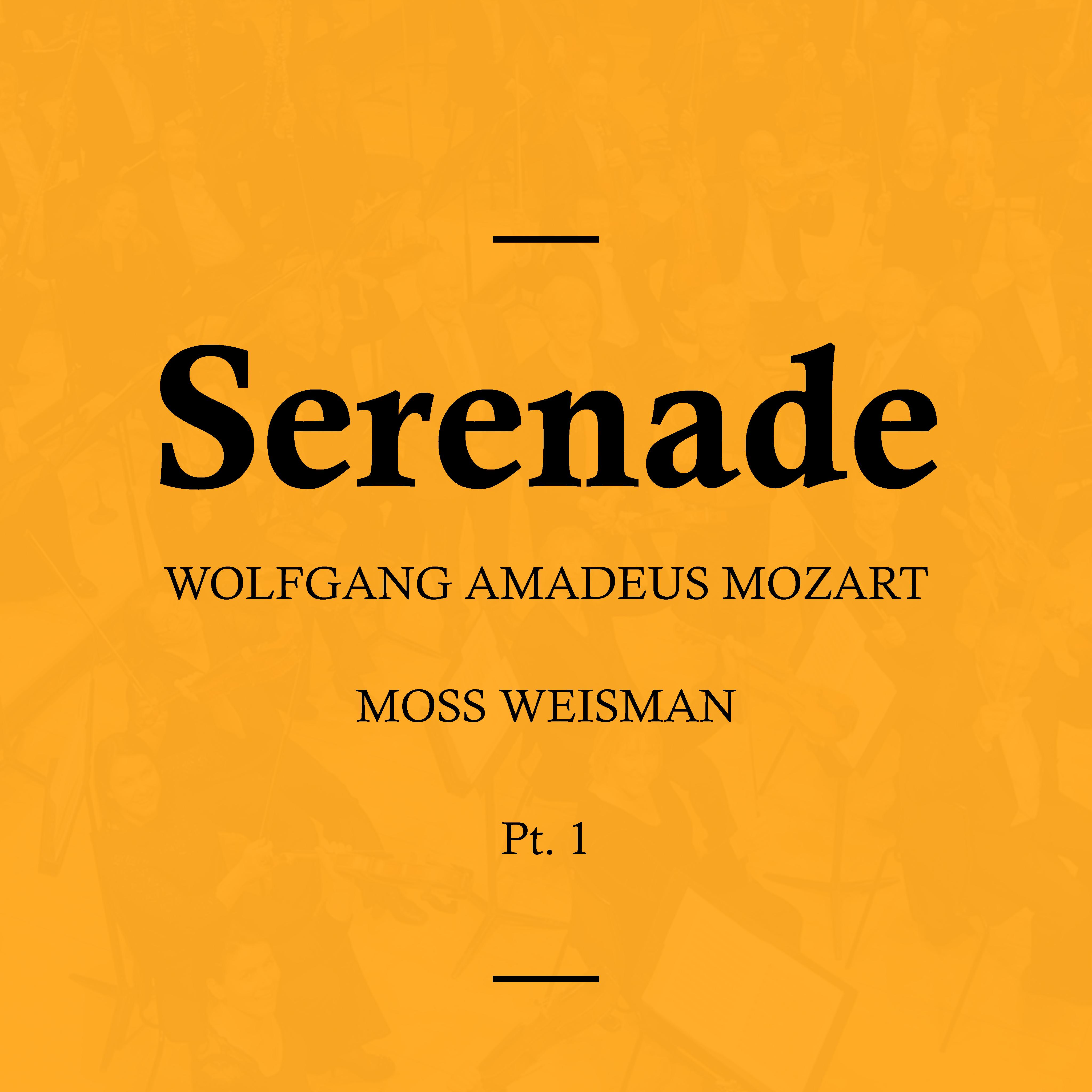 Mozart: Serenade Pt. 1