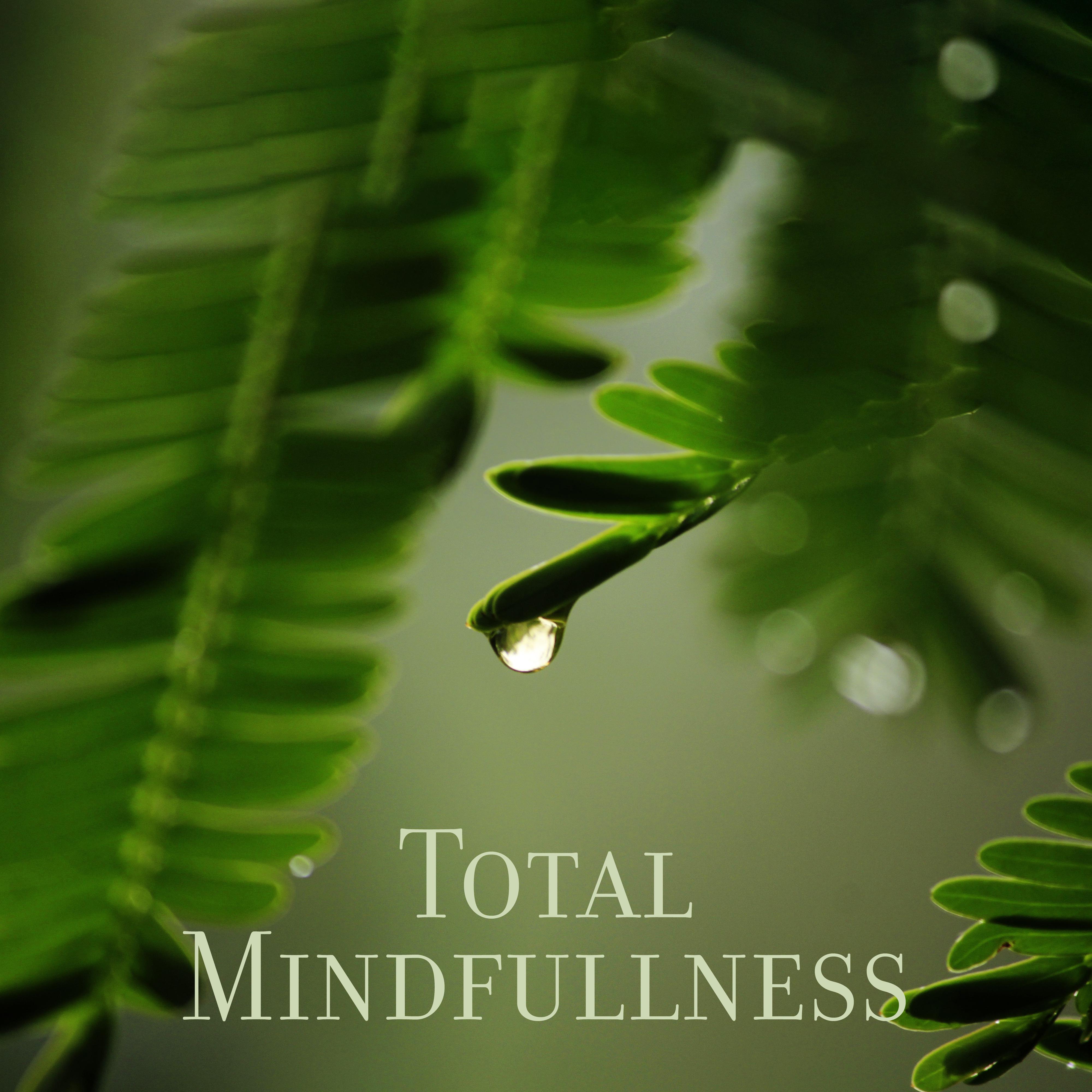 Total Mindfullness – Music for Deep Meditation