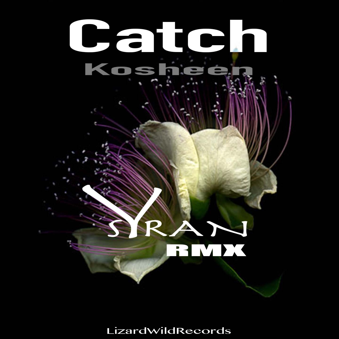 Catch (Remix)