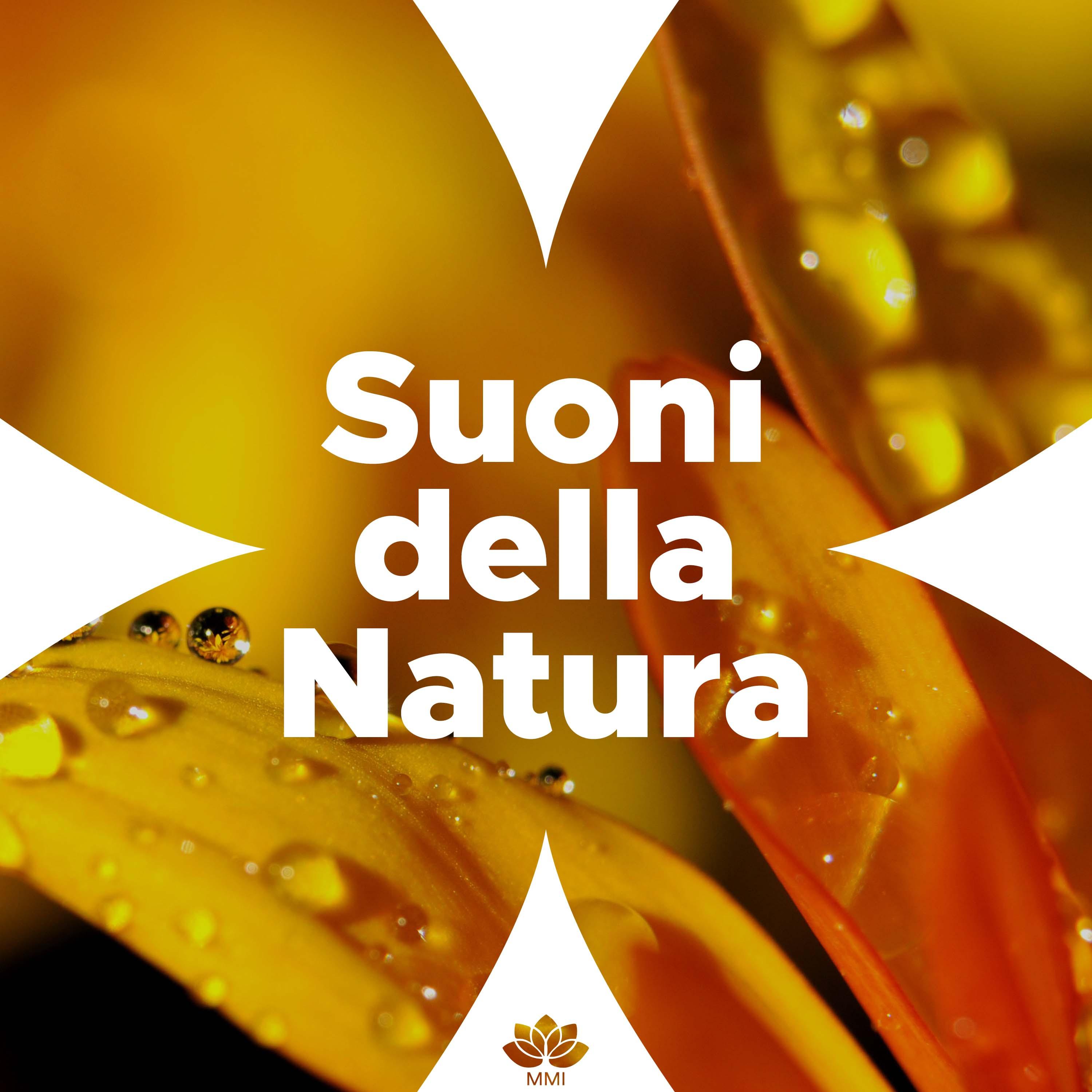 Suoni della Natura del Relax