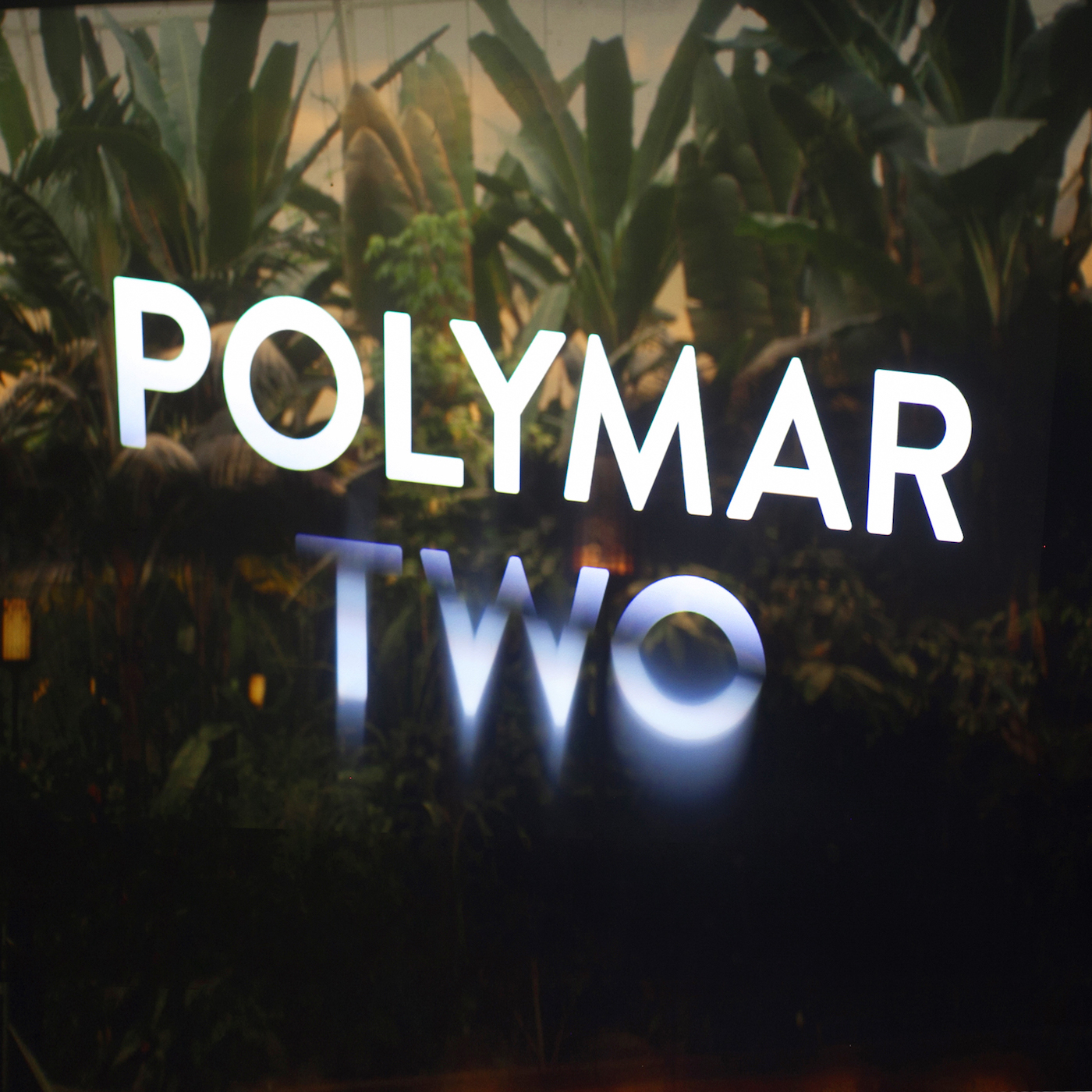 Polymare