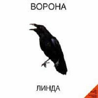 Волчица