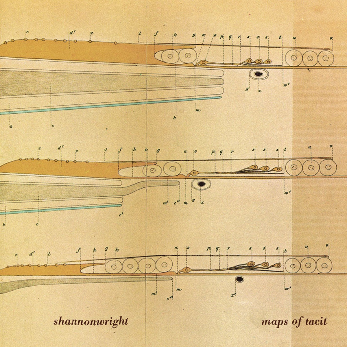 Maps of Tacit