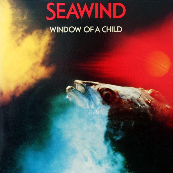 Window of a Child