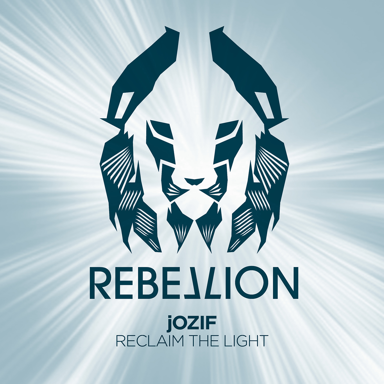 Reclaim The Light