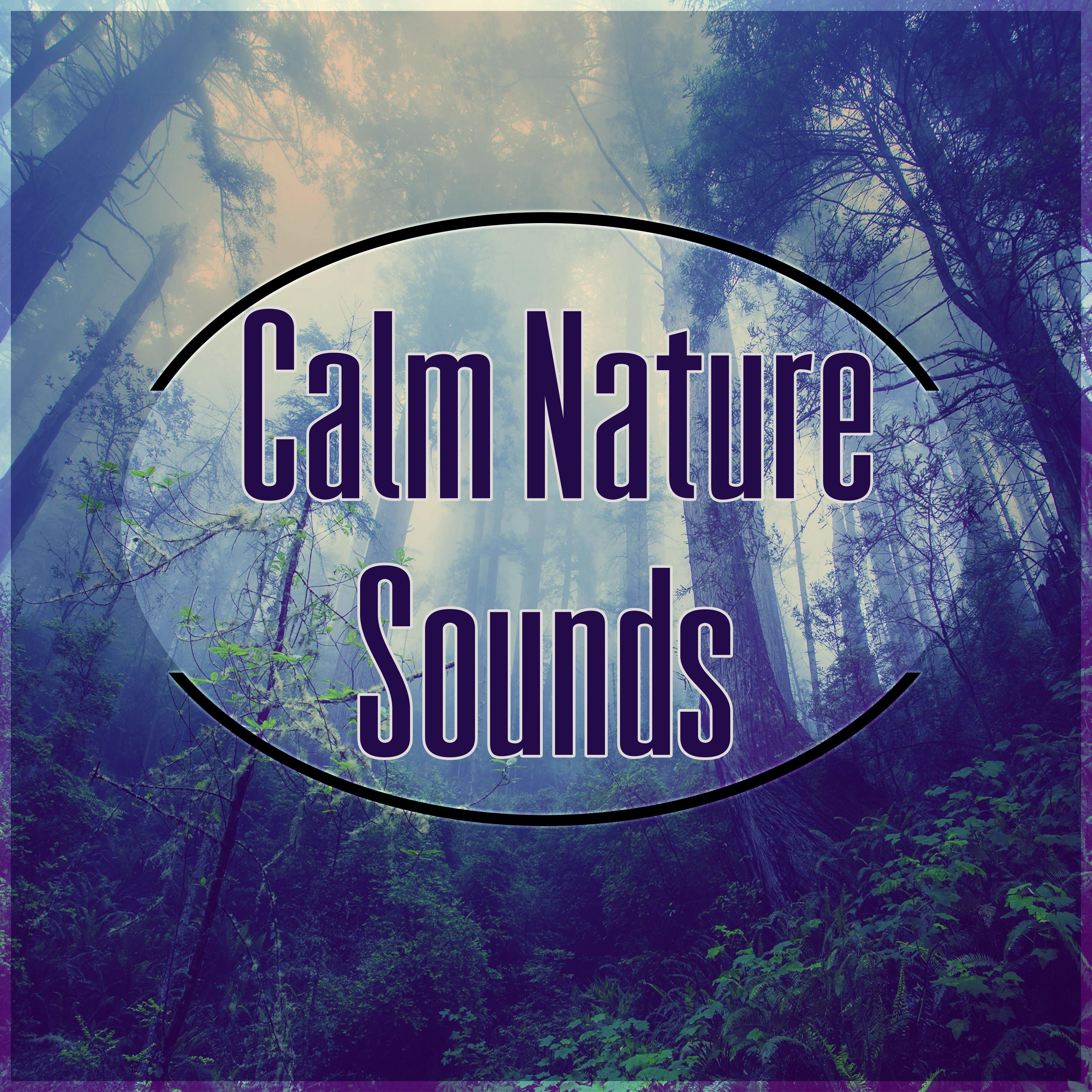 Calm Nature Sounds - Music to Help You Sleep, Calm Nature Sounds for Insomnia, Deep Sleep, Music for Baby Sleep & Relaxation