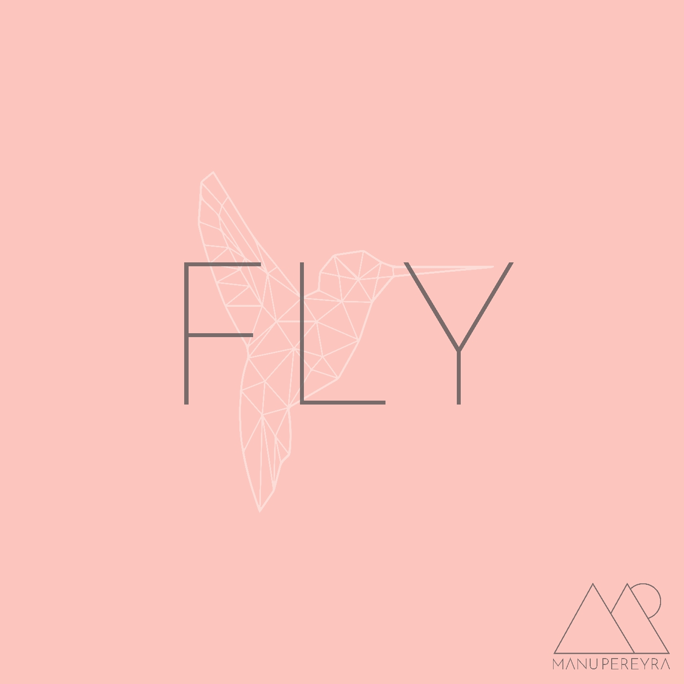 Fly