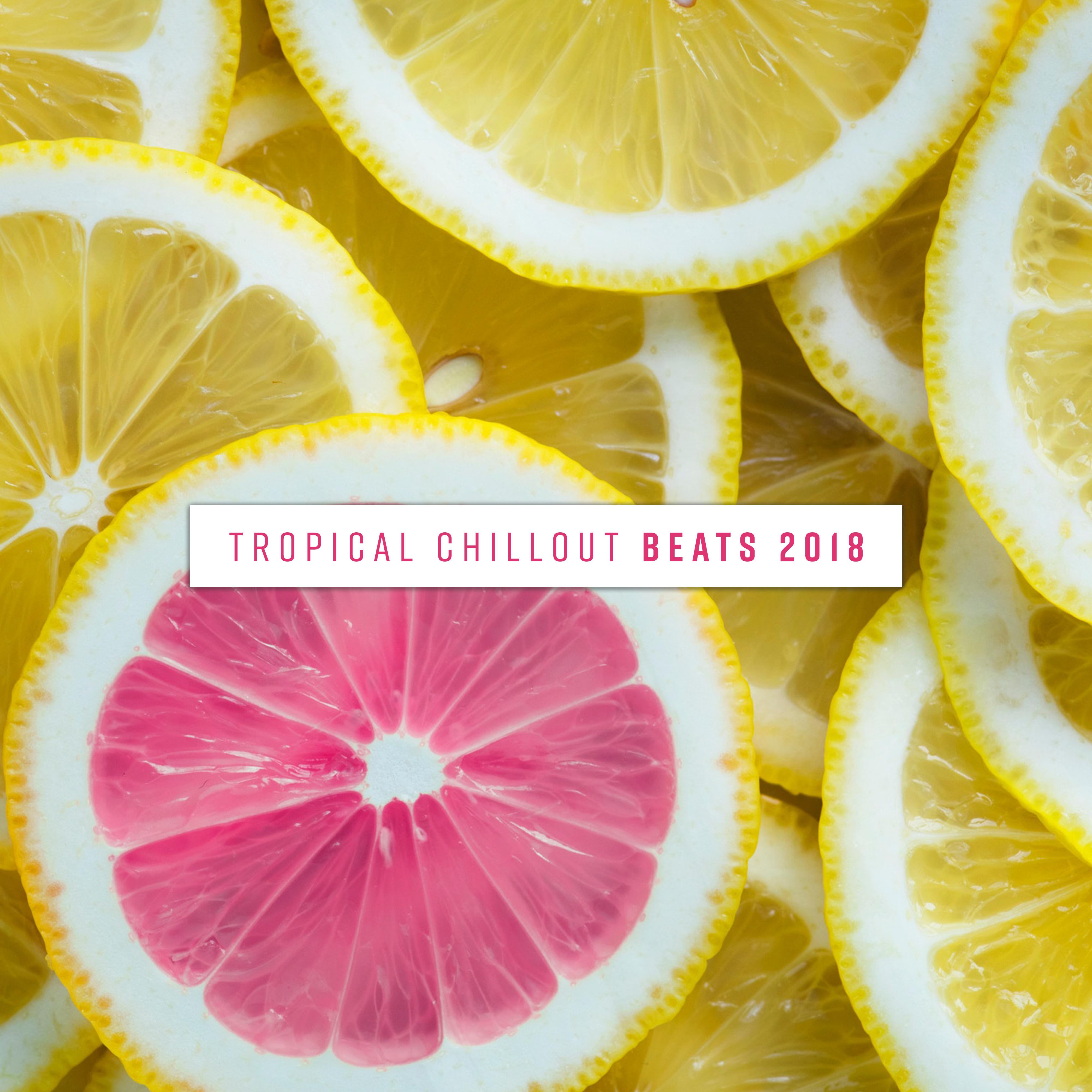 Tropical Chillout Beats 2018