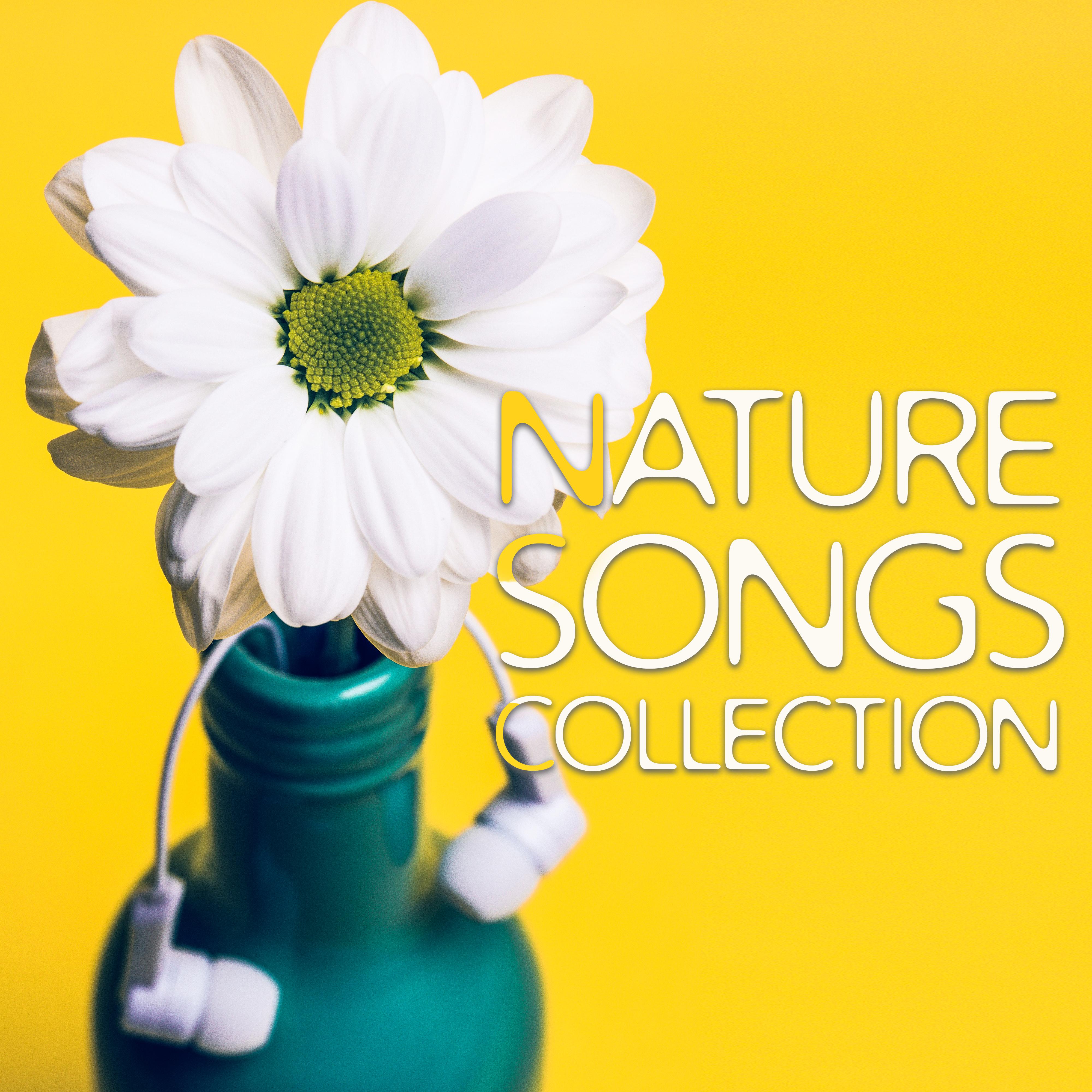 Nature Songs Collection – Relaxing Music,  Massage Therapy, Spa, Wellness, Zen, Bliss, Rest
