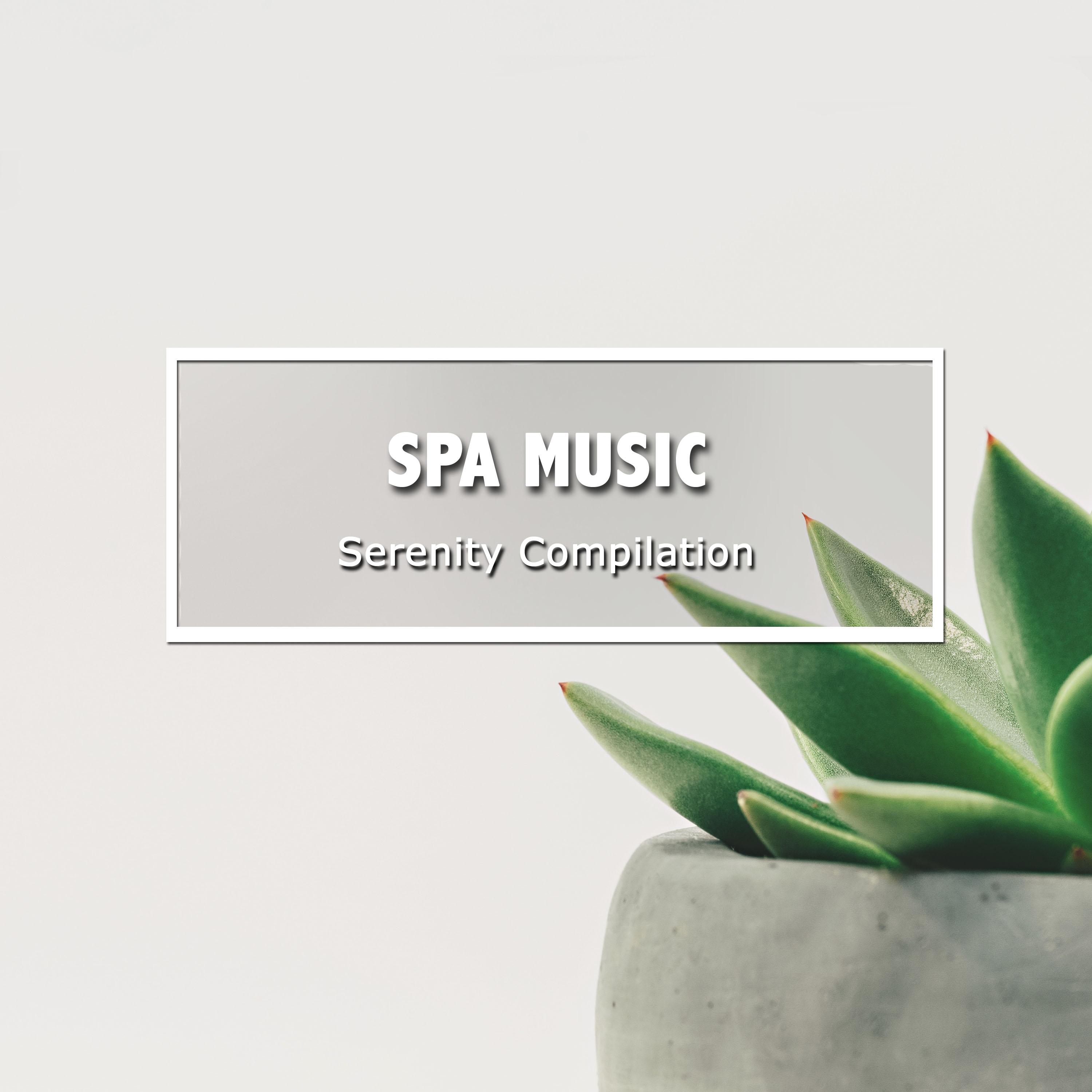 17 Spa Music Sounds: Serenity Compilation