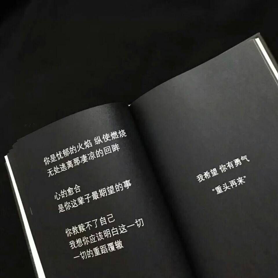 可不可以(Cover 张紫豪)（Cover：张紫豪）