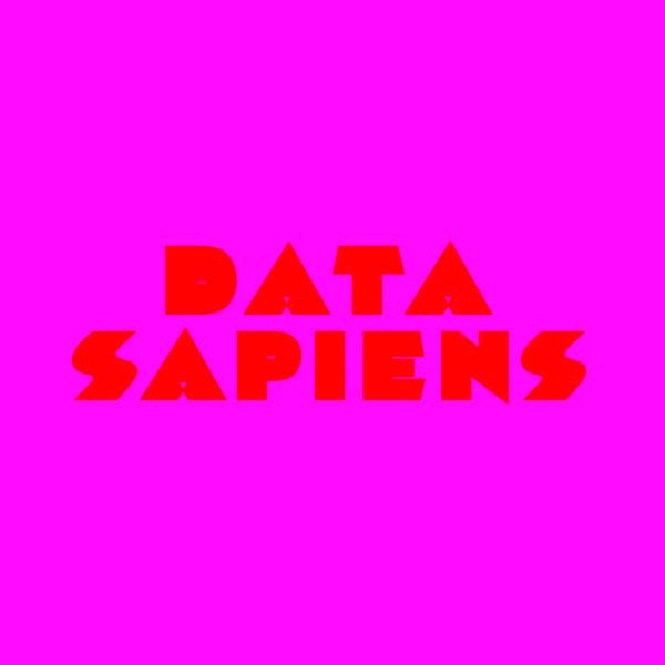 Data Sapiens (Radio Slave Remix)