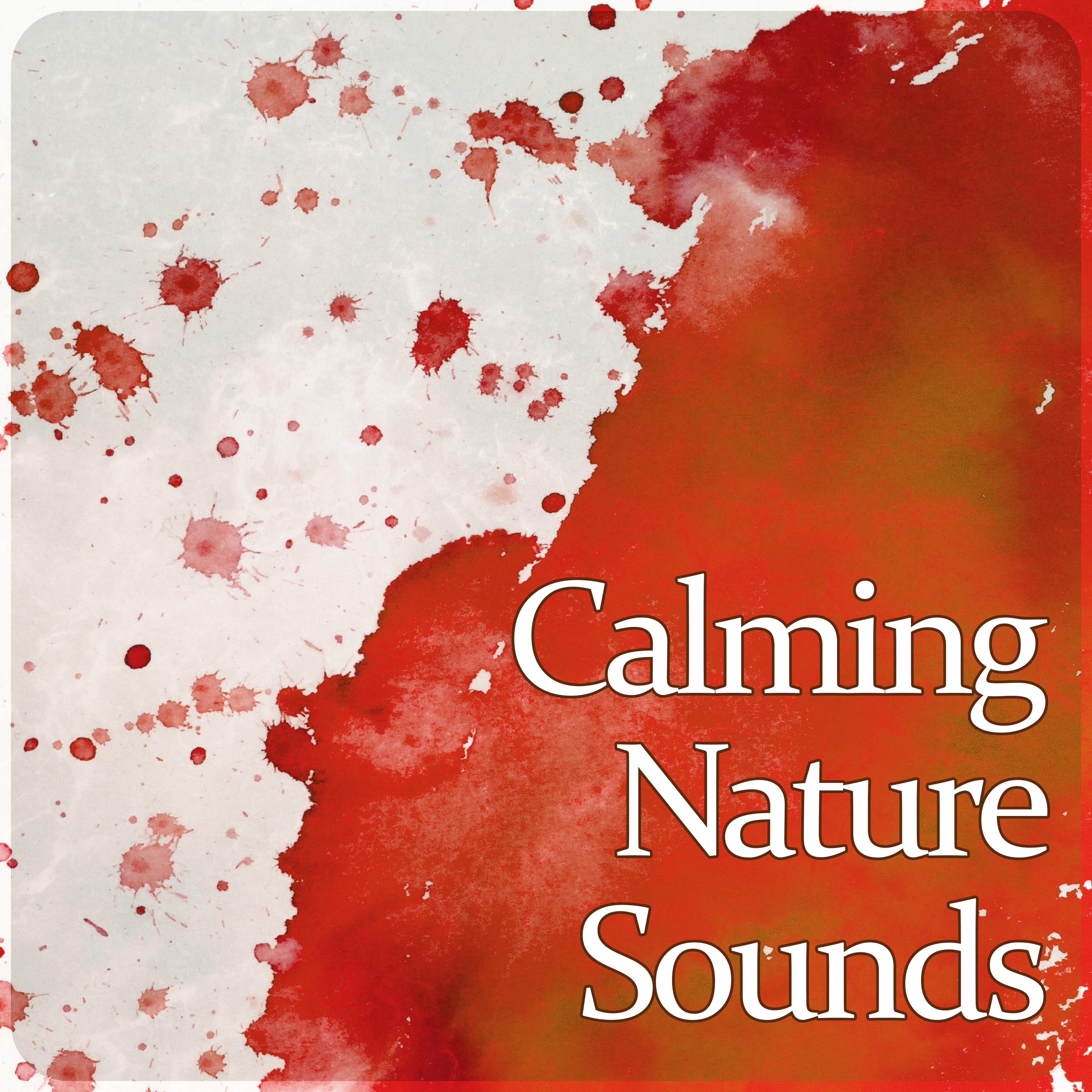 Nature Sounds for Deep Sleep