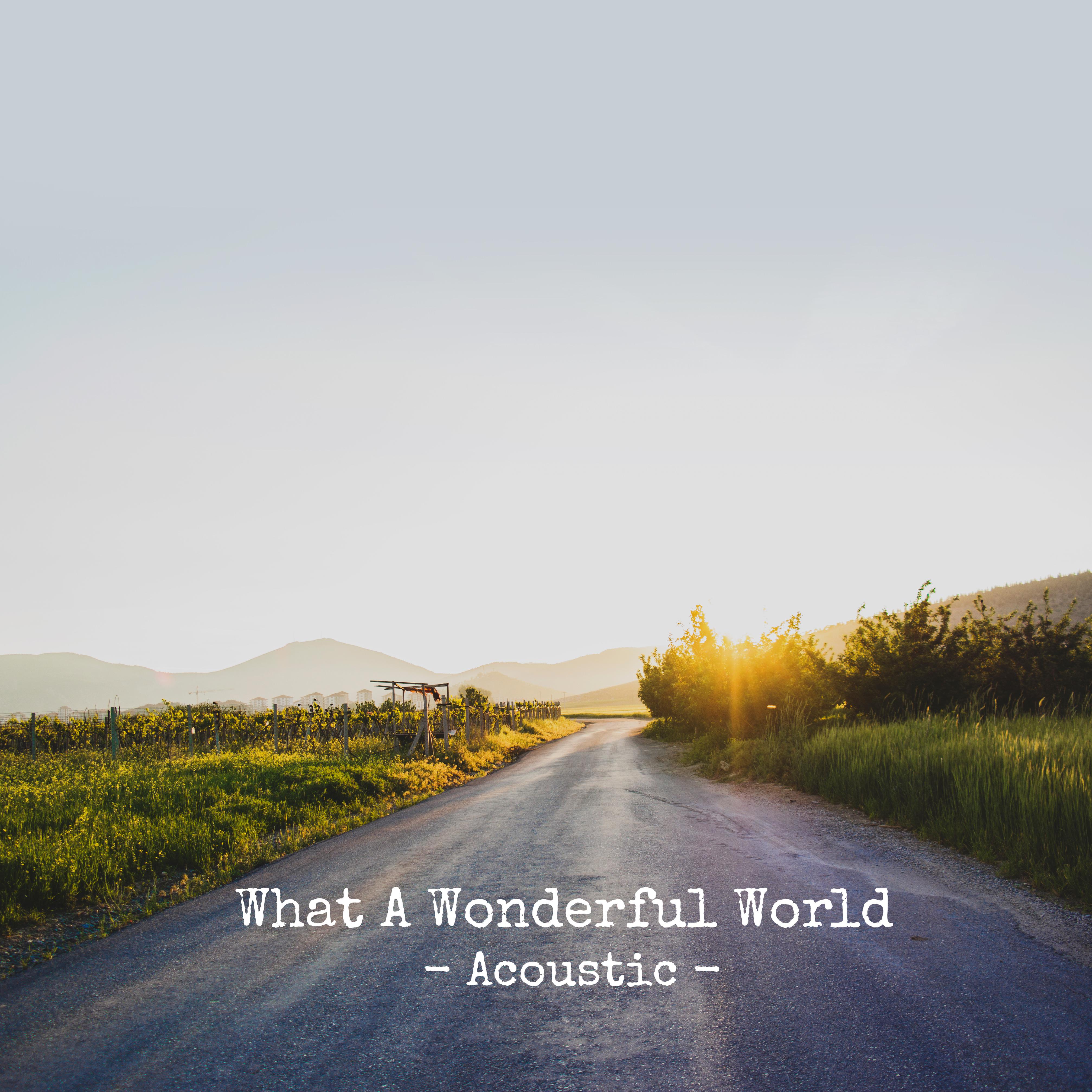 What A Wonderful World (Acoustic)