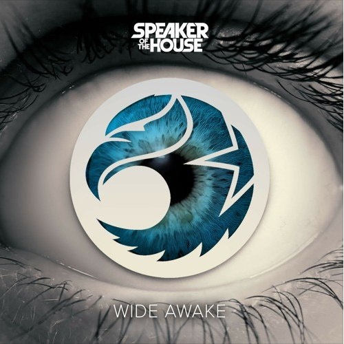 Wide Awake (Original Mix)