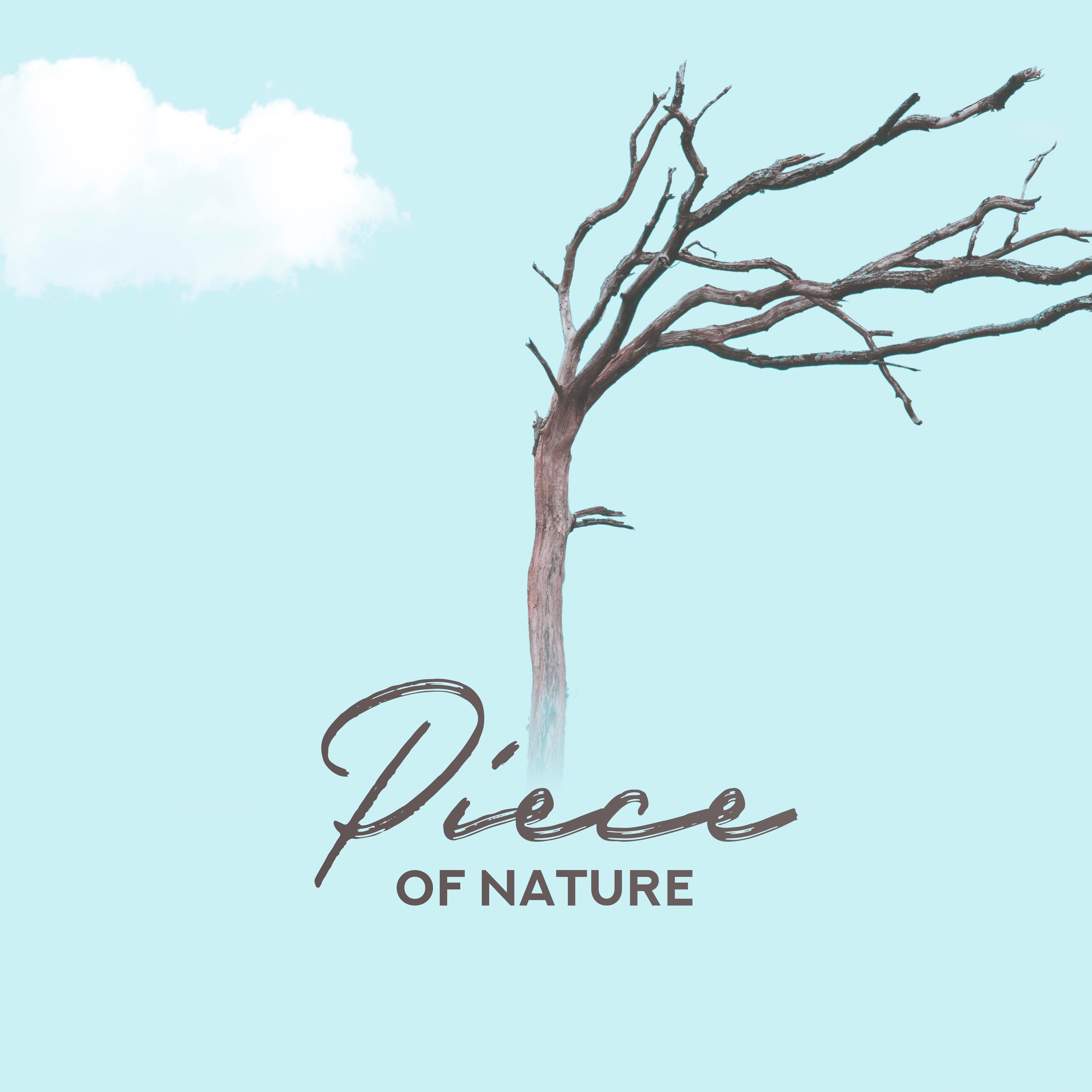 Piece of Nature – 15 Nature Sounds, Nature Music for Sleep, Meditation, Yoga Training, Relaxation, Zen Lounge