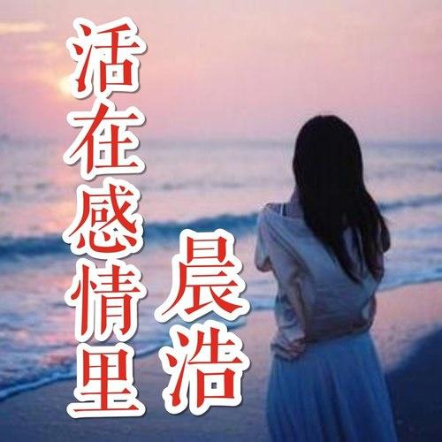 活在感情里