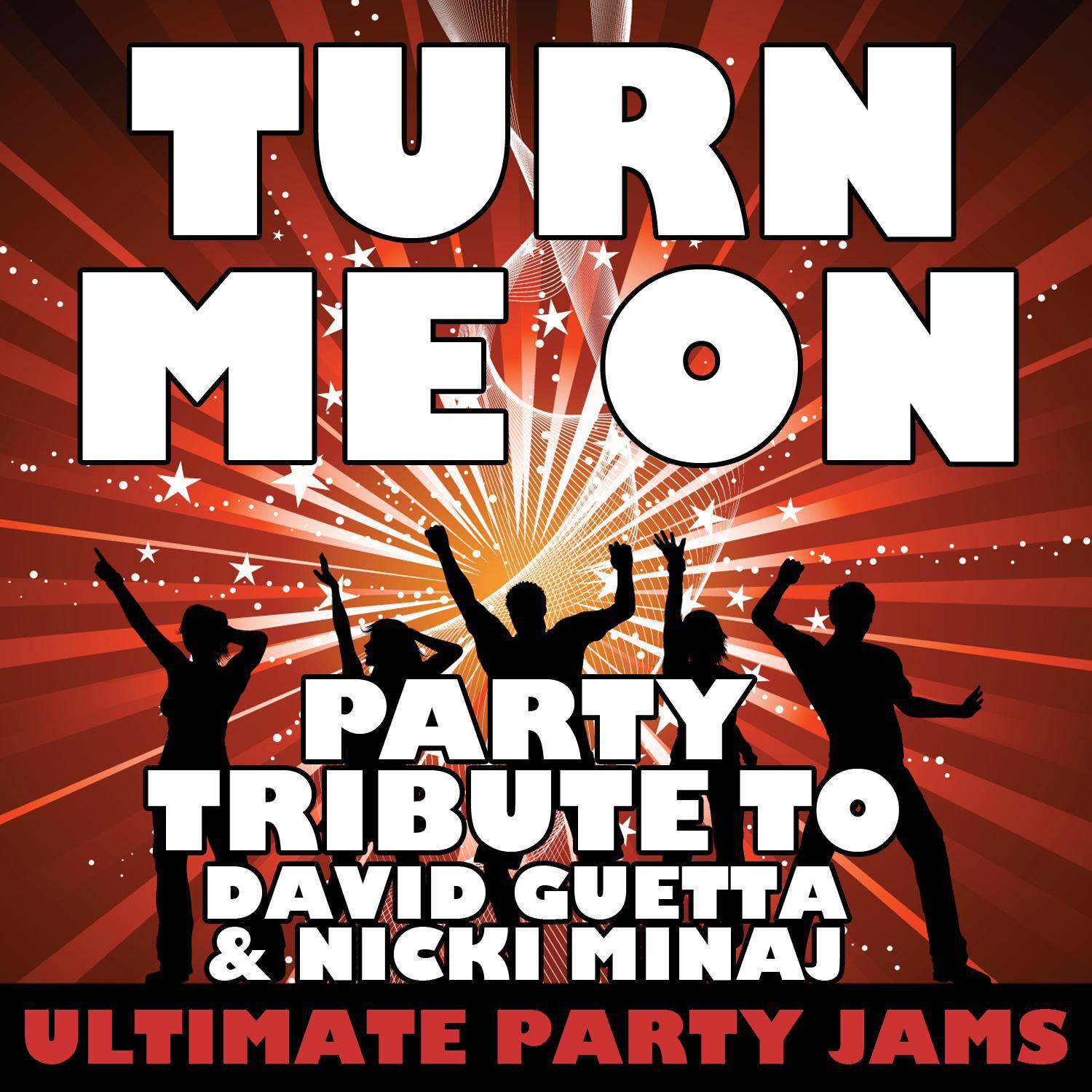 Turn Me On (Party Tribute to David Guetta & Nicki Minaj)