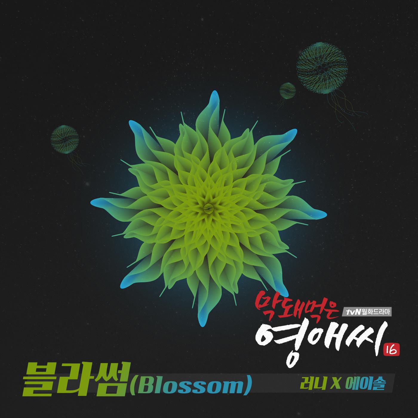 블라썸 (Blossom)