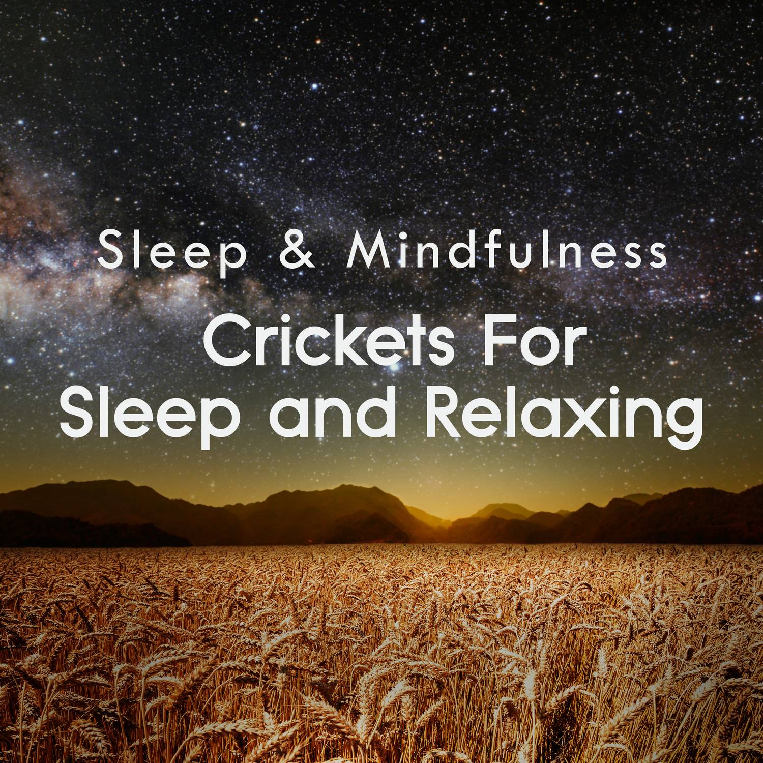 Crickets for Sleep and Relaxing (Sleep & Mindfulness)