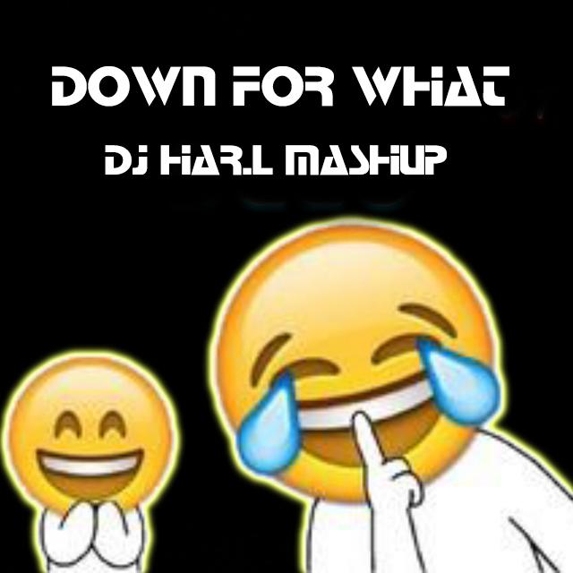 Lil Jon - Down For What (Mashup Edit)（DJ Har.L 孙宁 remix）