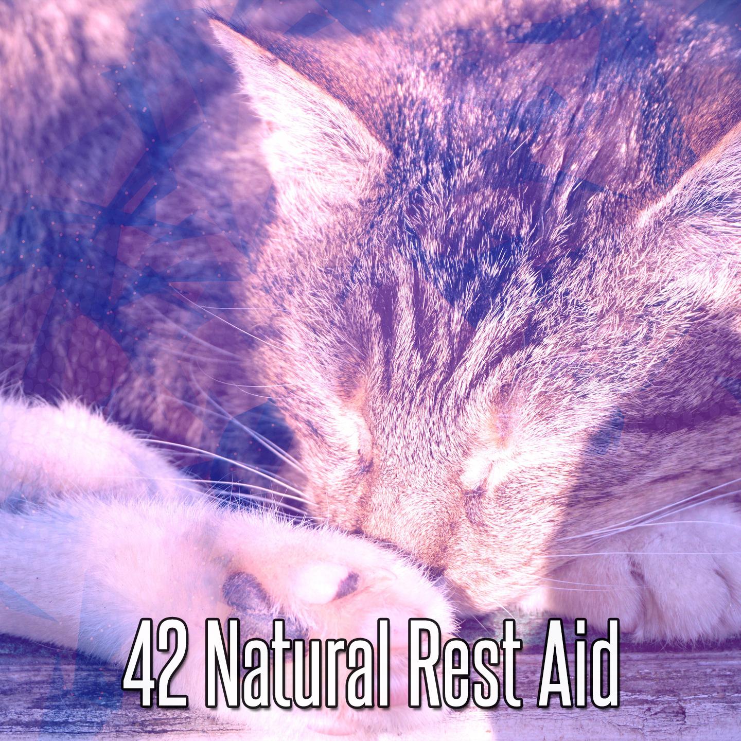 42 Natural Rest Aid