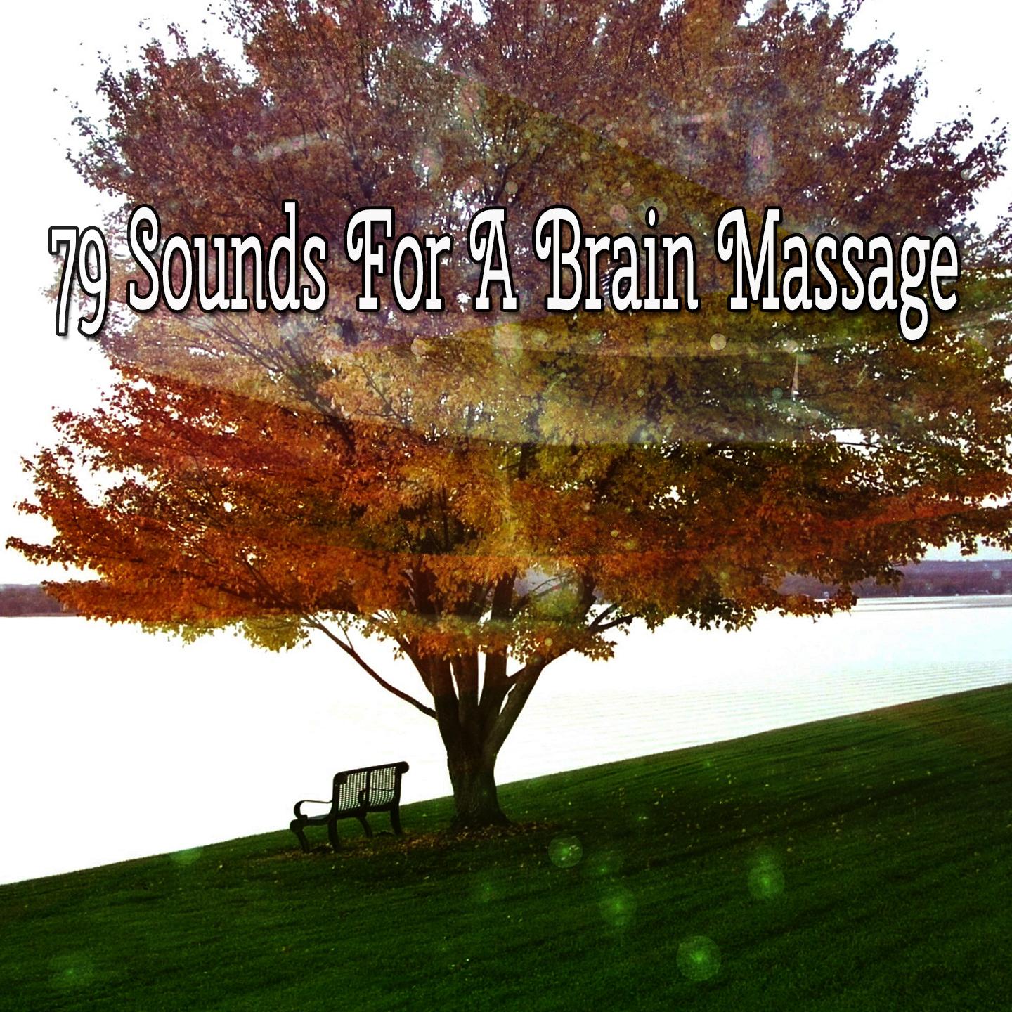 79 Sounds For A Brain Massage