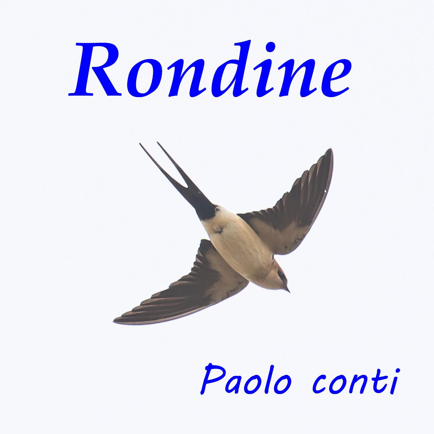 Rondine