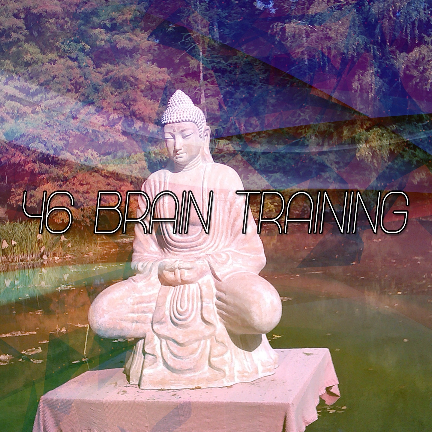 46 Brain Training