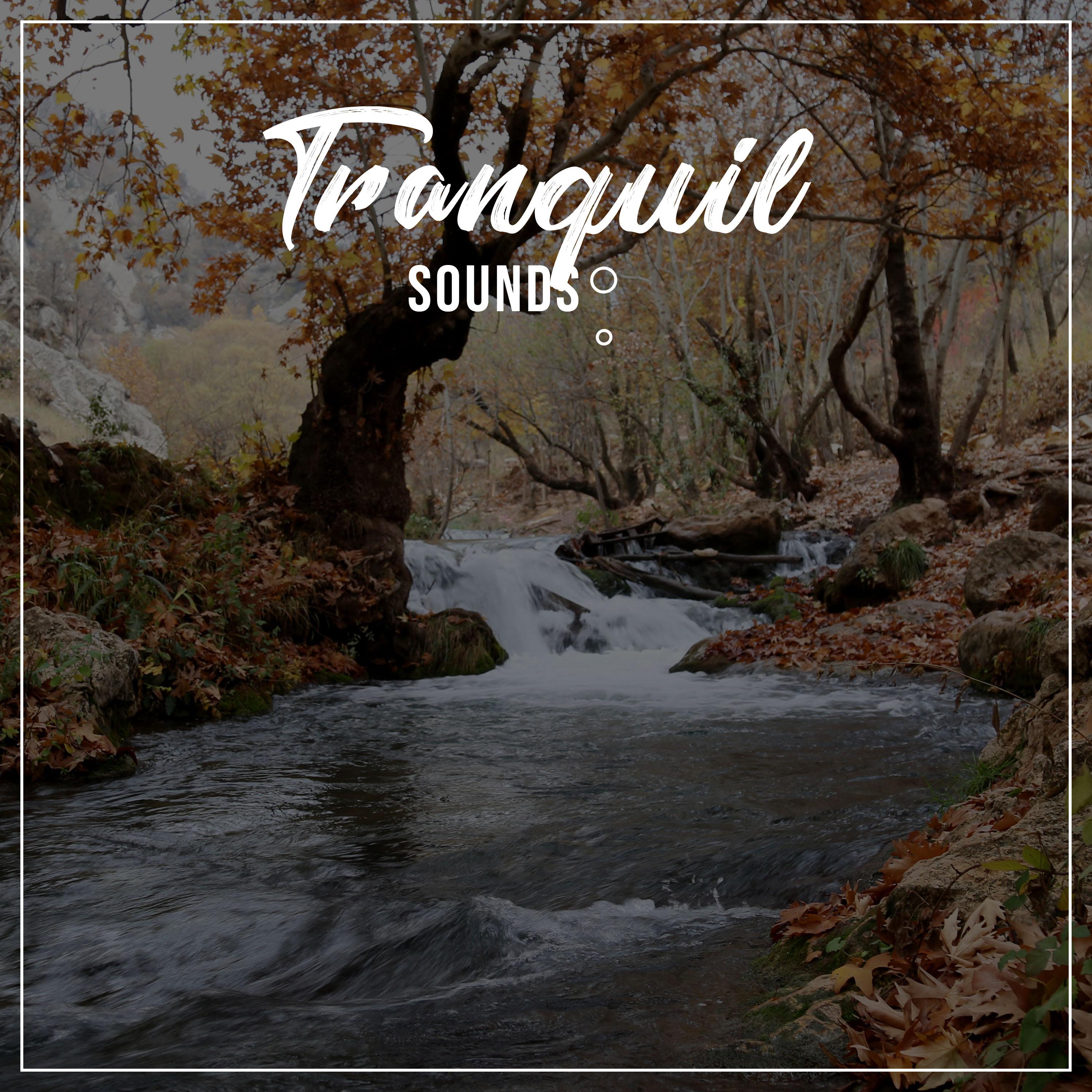 #12 Tranquil Sounds for Rejuvenation