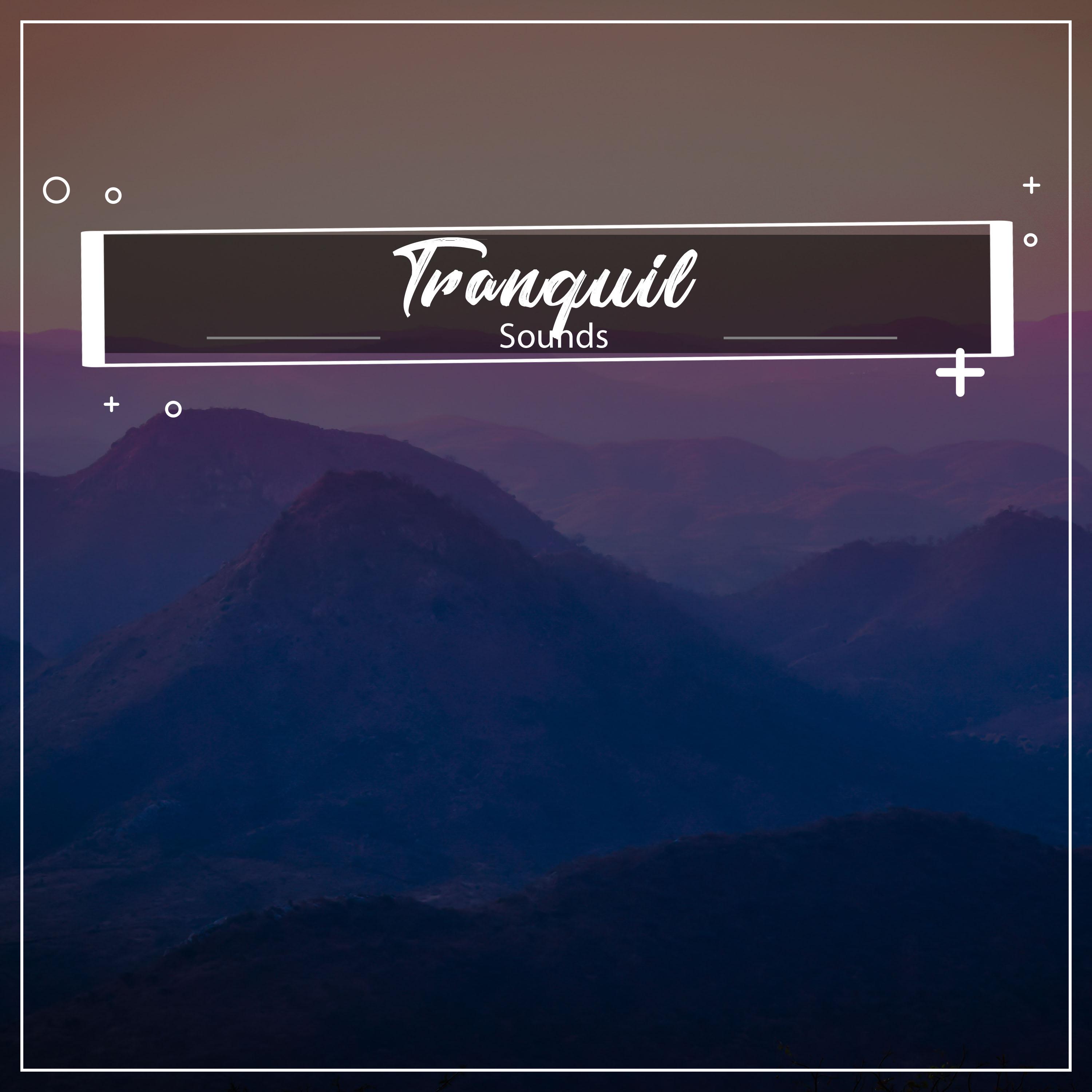 #13 Tranquil Sounds for Practicing Calm