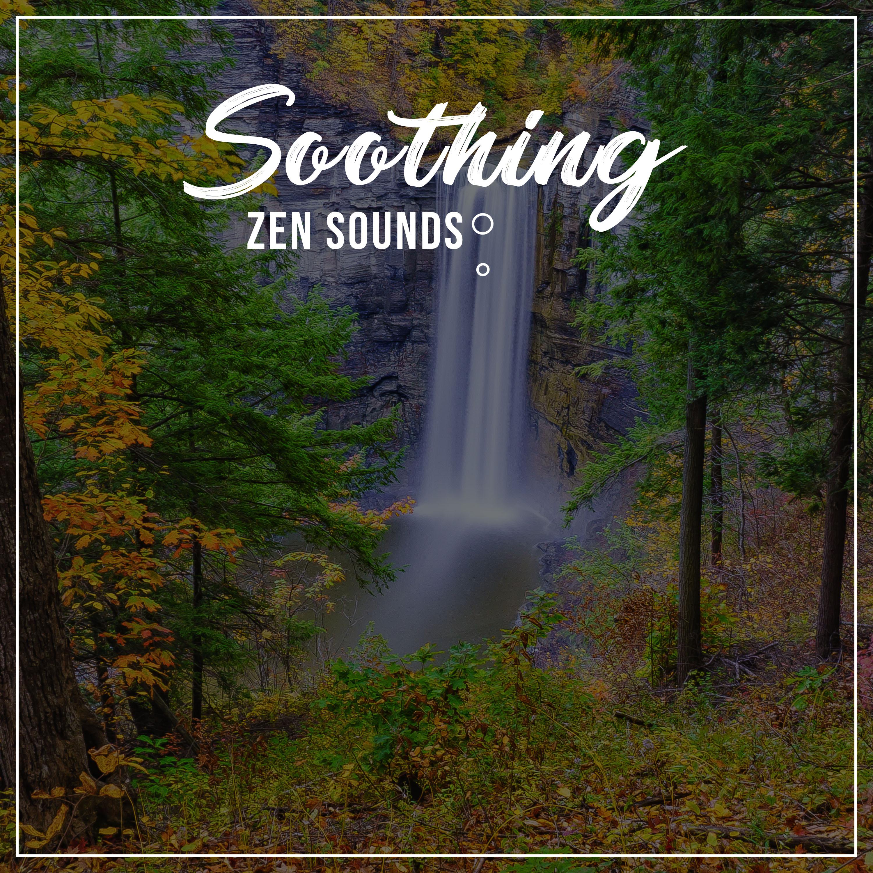 #16 Soothing Zen Sounds for Spirital Awakening