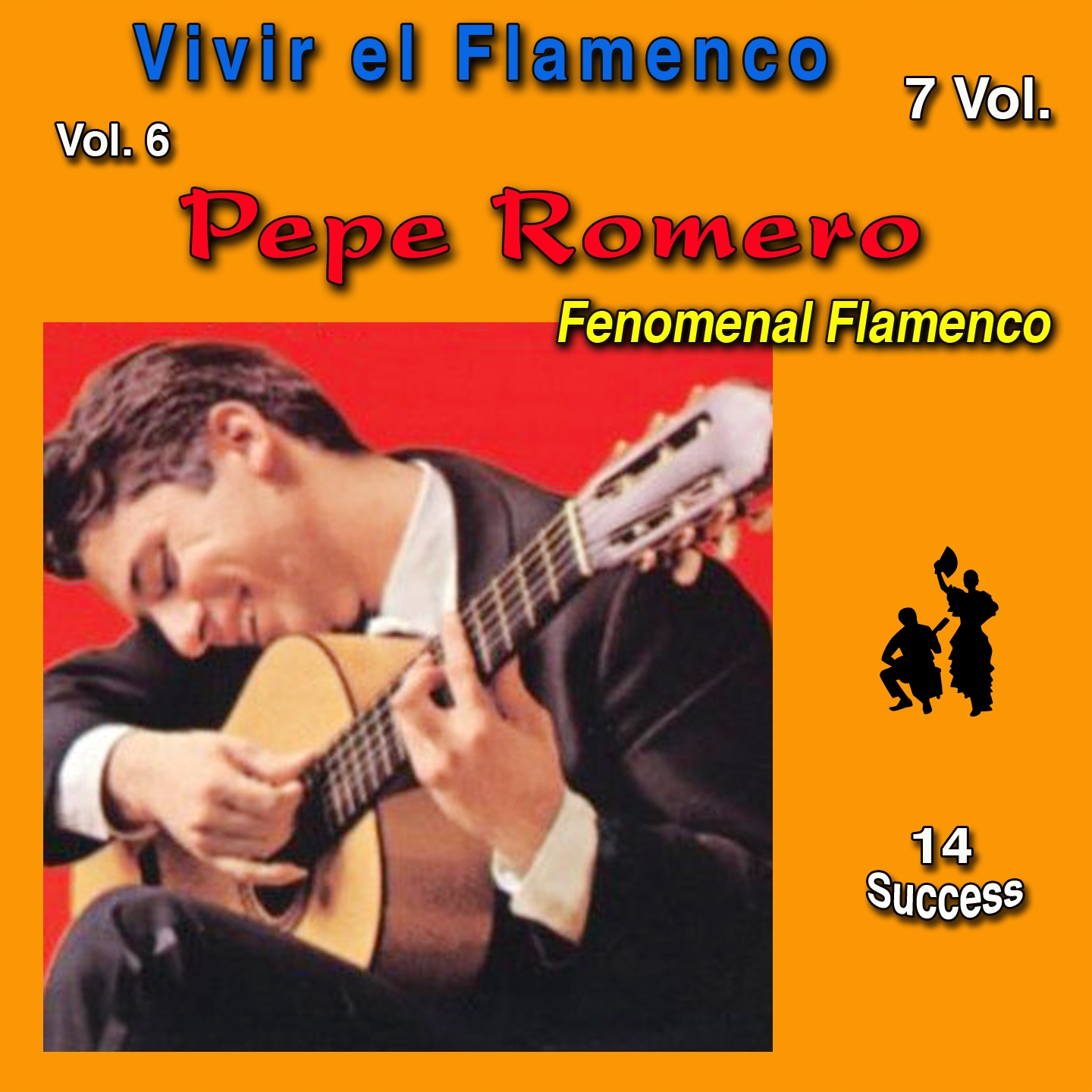 Vivir el Flamenco, Vol. 6 (Fenomenal Flamenco) (14 Sucess)