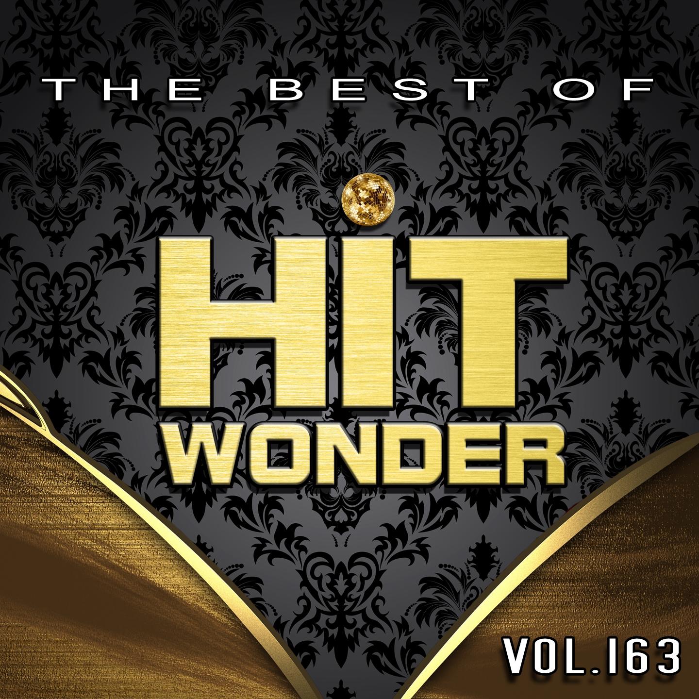 Hit Wonder: The Best of, Vol. 163