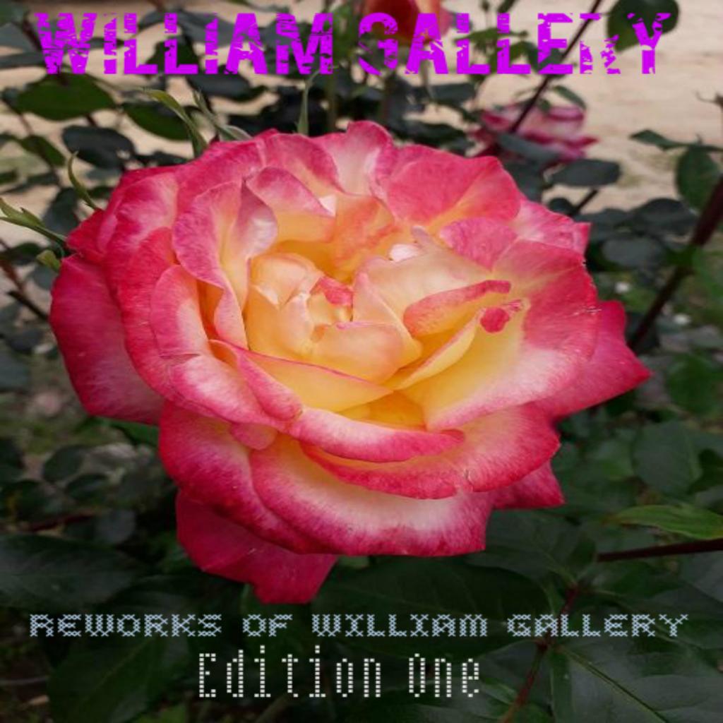 Reworks of William Gallery Edition One