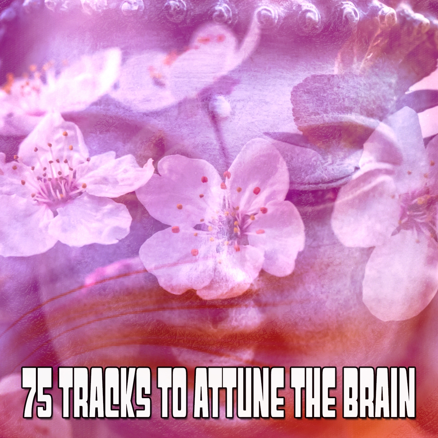75 Tracks To Attune The Brain