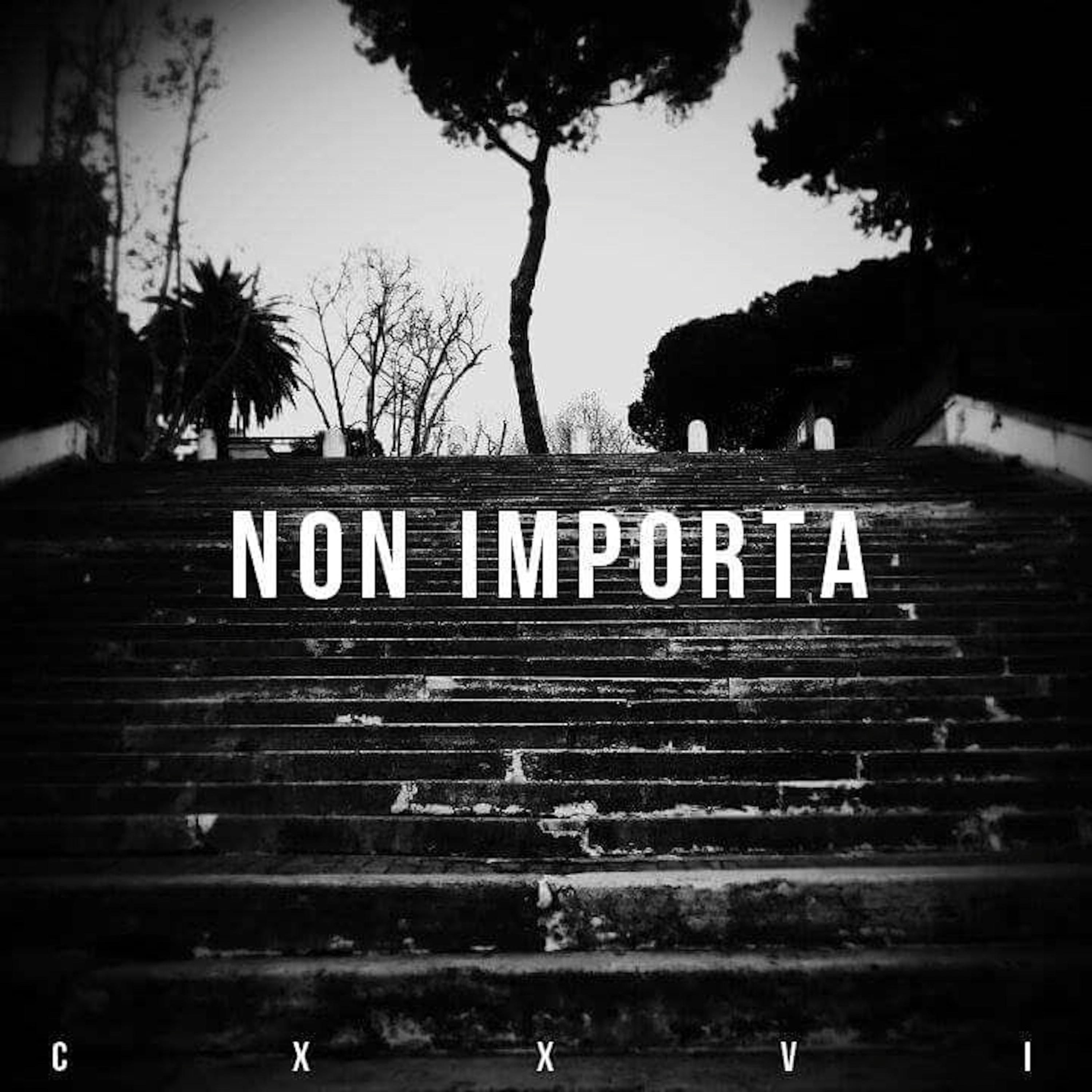 Non Importa