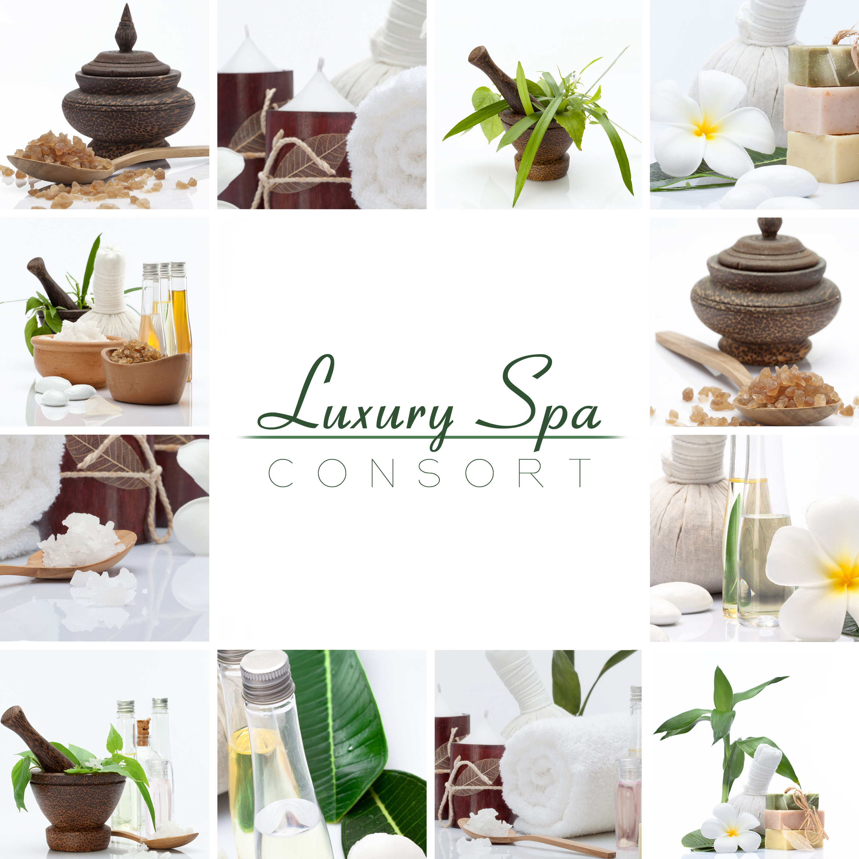 Luxury Spa Consort (Spa Treatments, Body Care, Relaxation Massage, Point Therapy, Body Detoxification, Aromatherapy, Health & Restful)