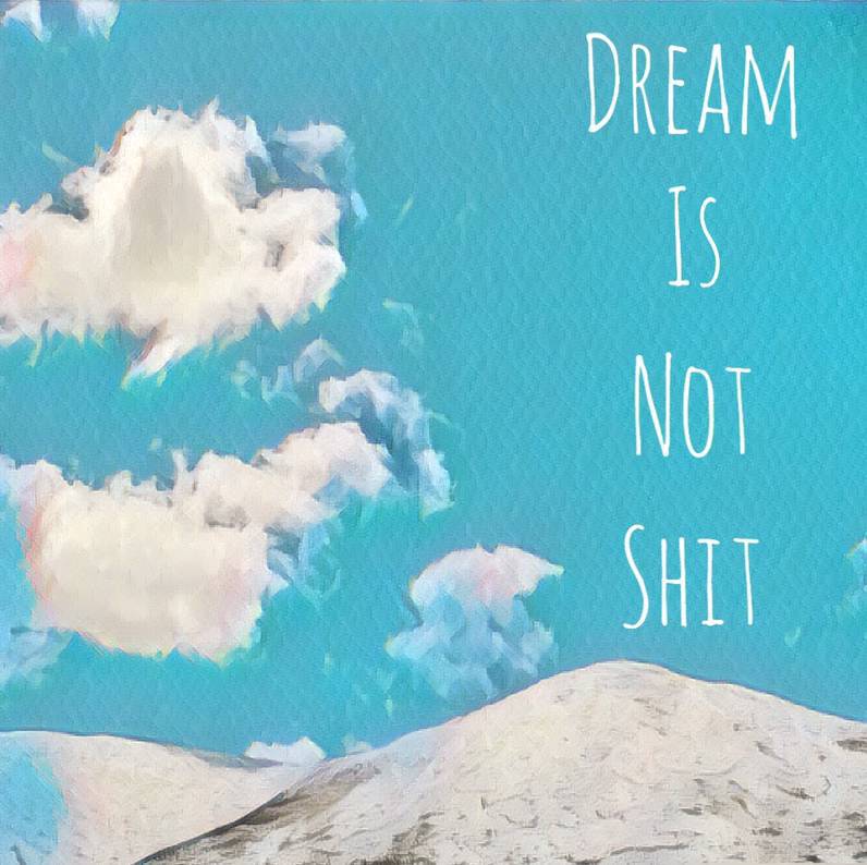 DREAM IS NOT SHIT