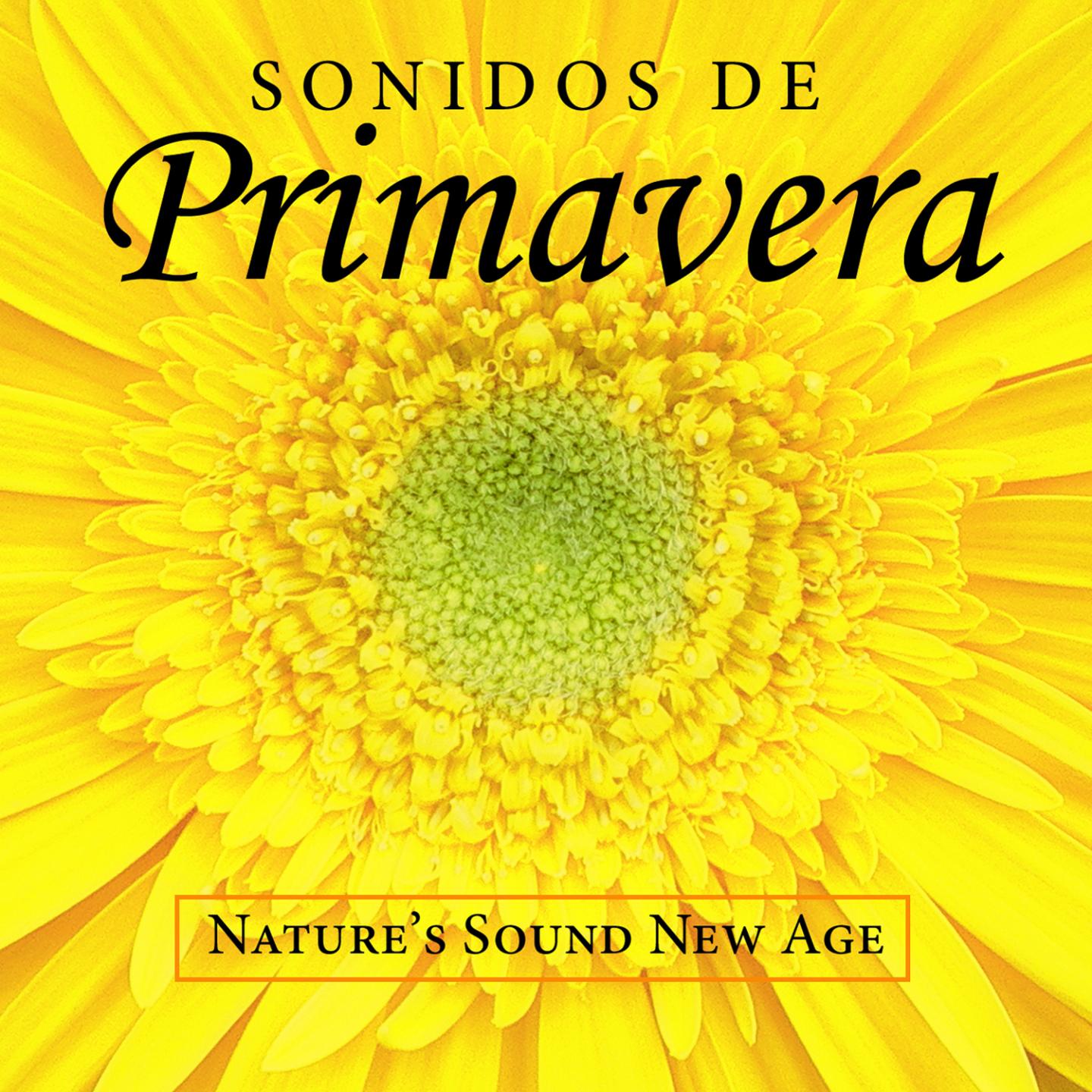 Acústica de Primavera