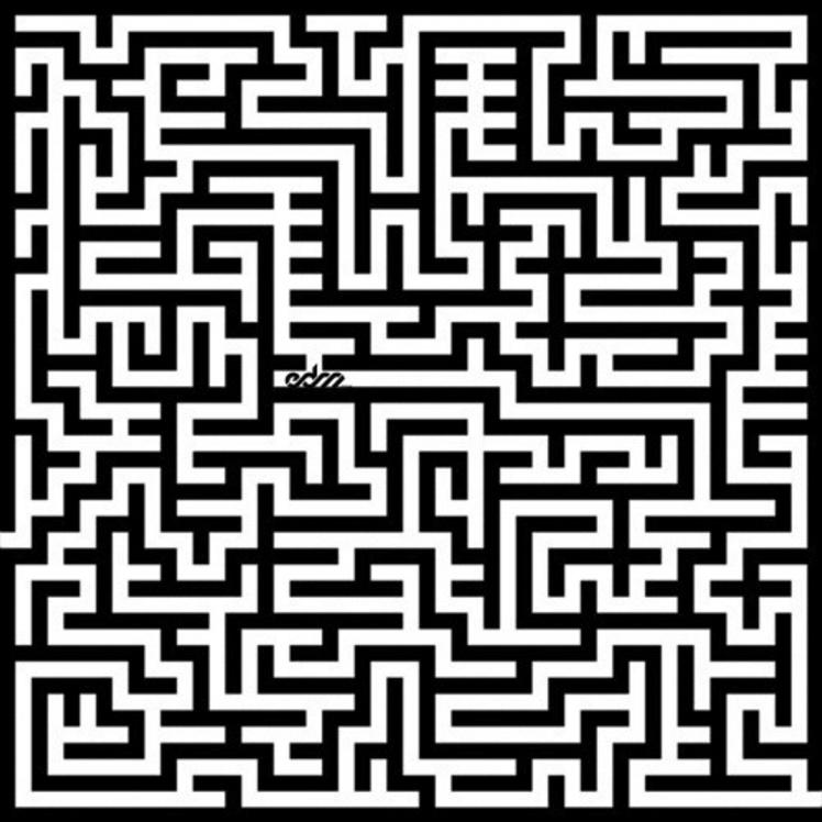 Maze