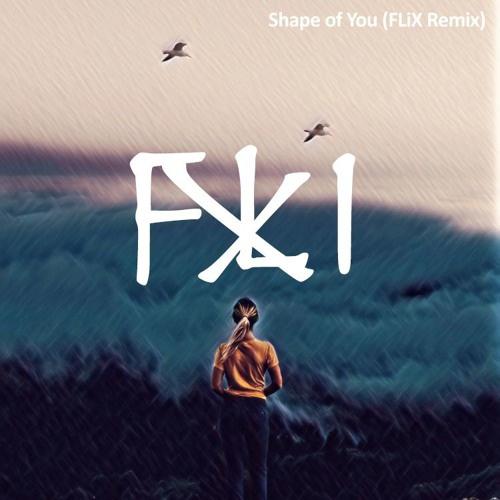 Shape of You (FLiX Remix)